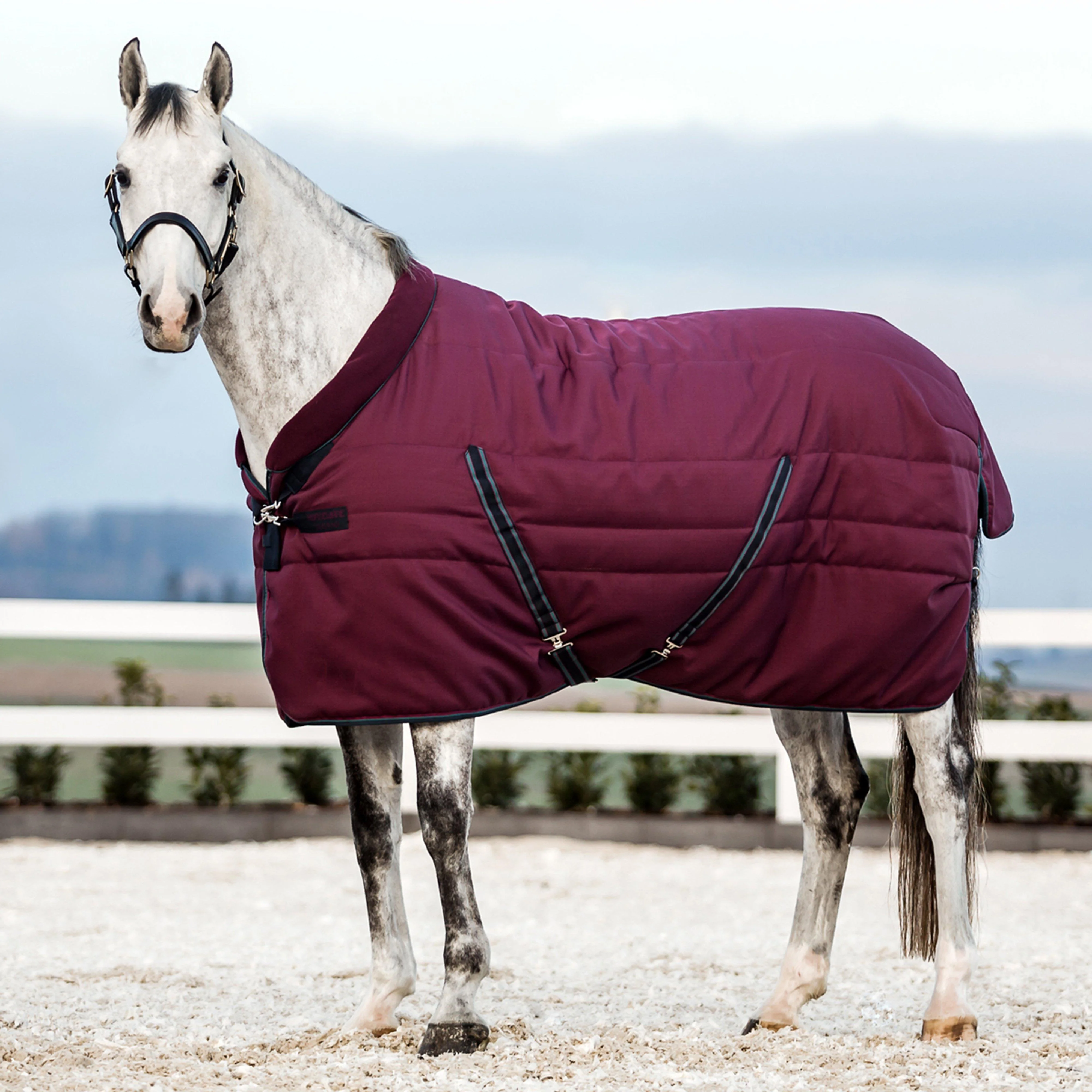 Rambo® Cosy 200g Medium Weight Standard Neck Stable Rug Burgundy - Image 5