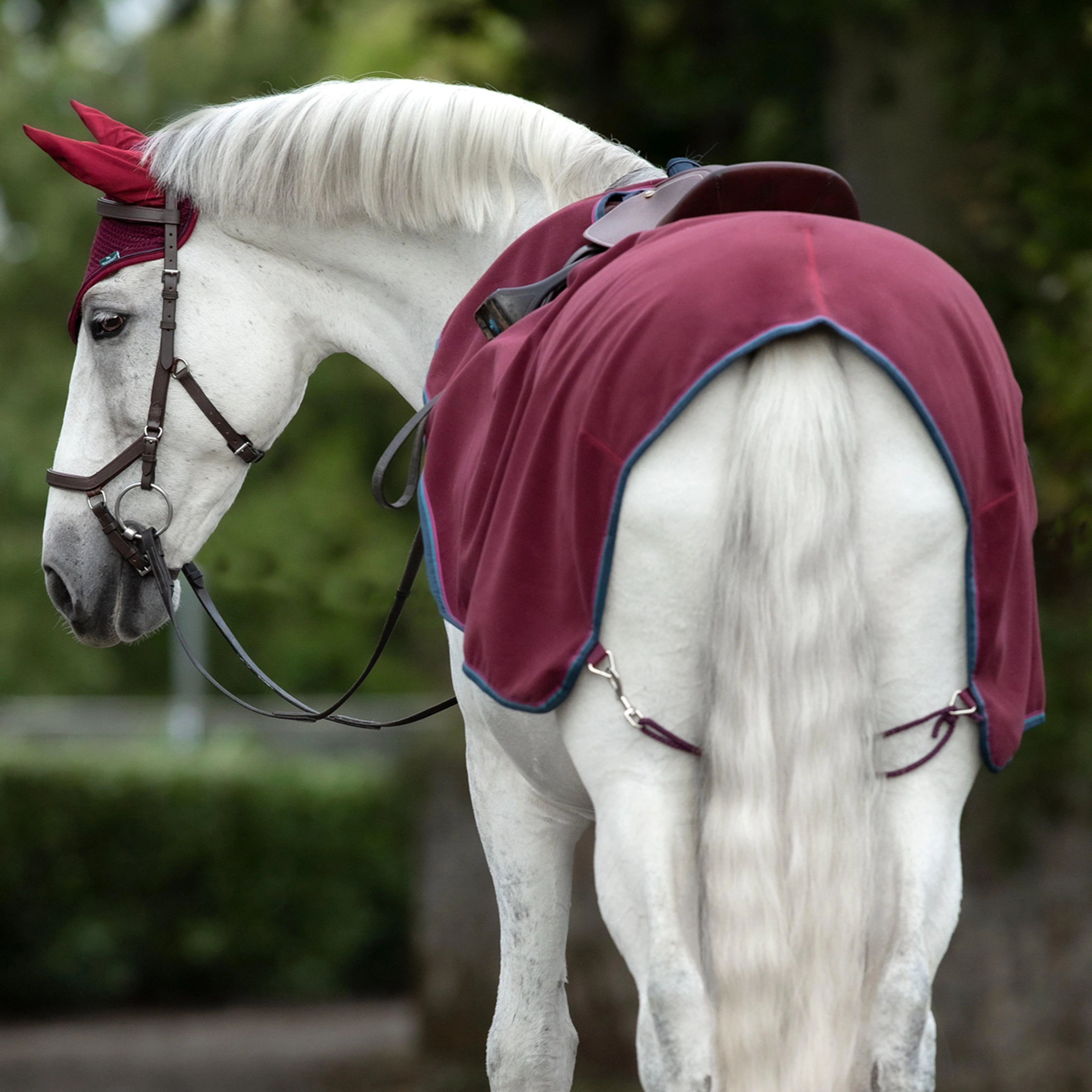 Rambo® Fleece Competition Sheet Burgundy - Image 2