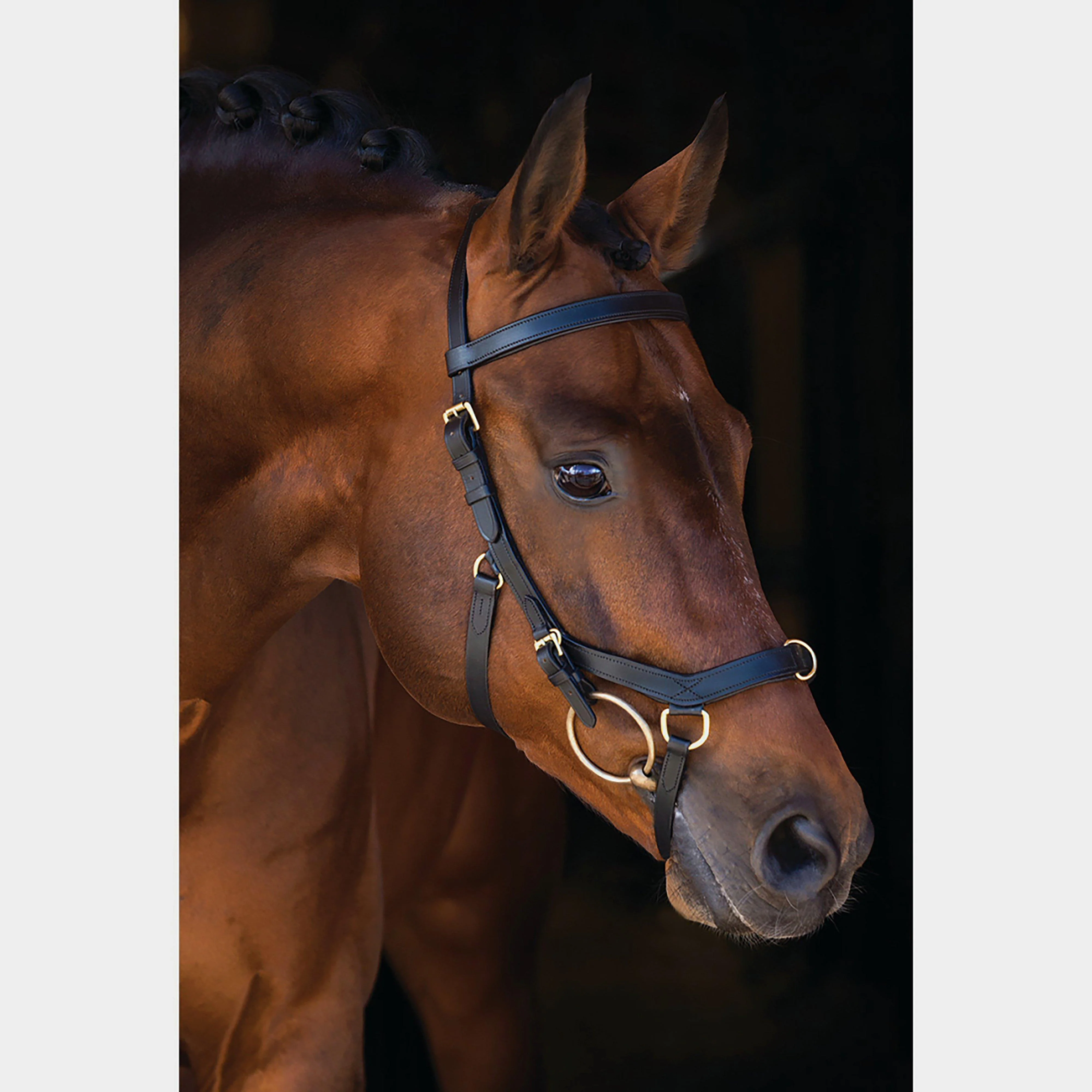Rambo® Micklem® Multibridle Black - Image 5
