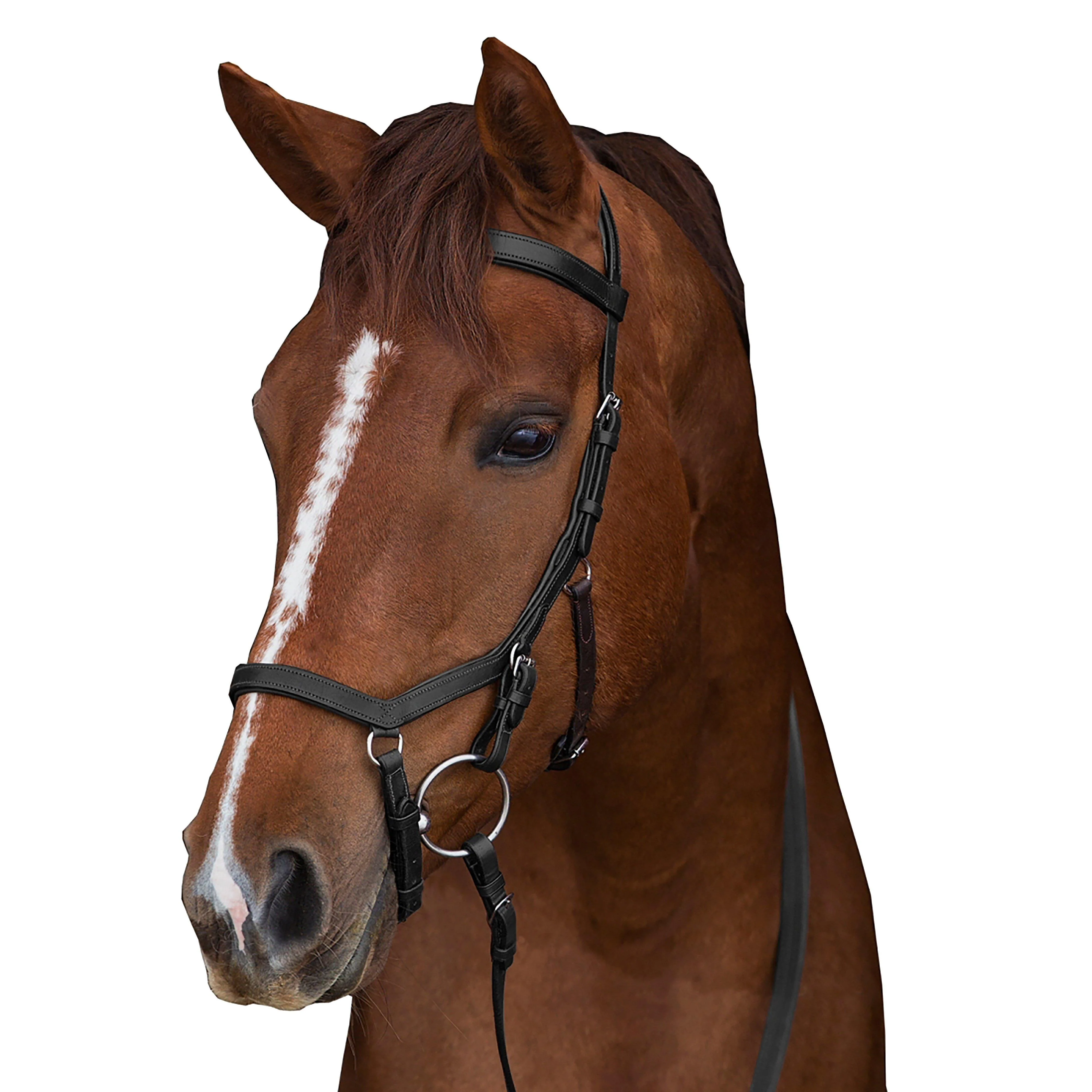 Rambo Micklem Original Competition Bridle Black - Image 4
