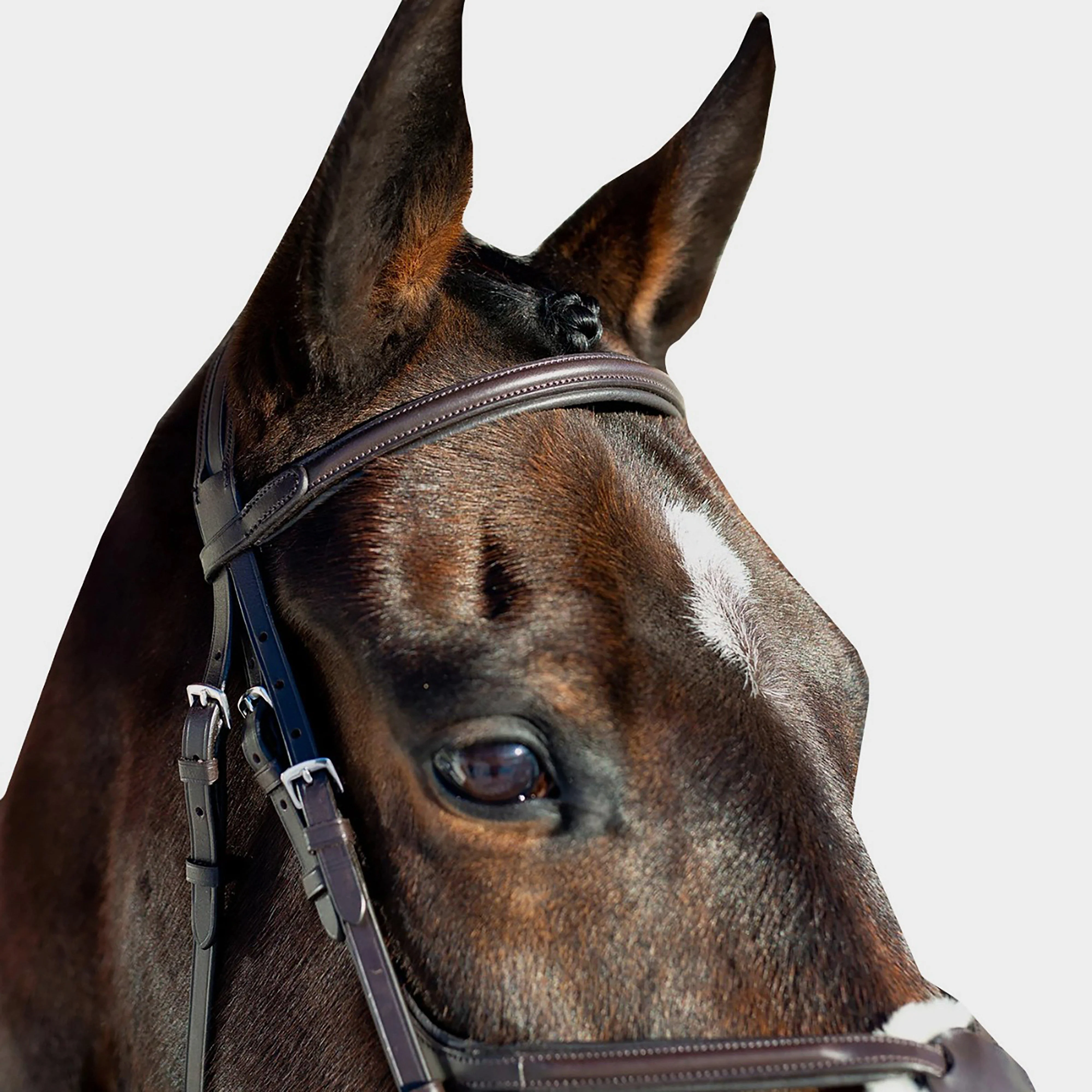 Prescott Mexican Bridle Brown - Image 4