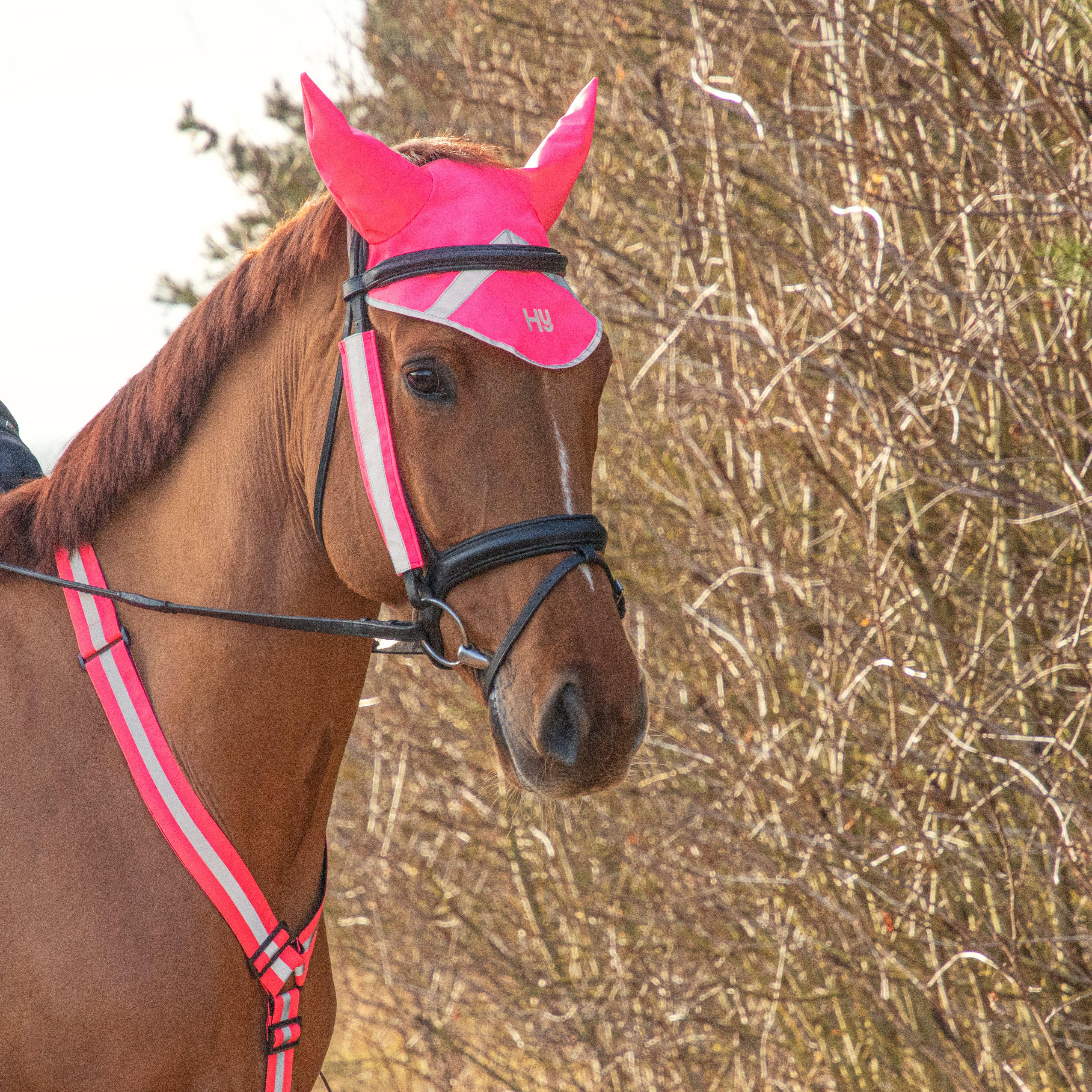 HyVIZ Bridle Set Pink - Image 3
