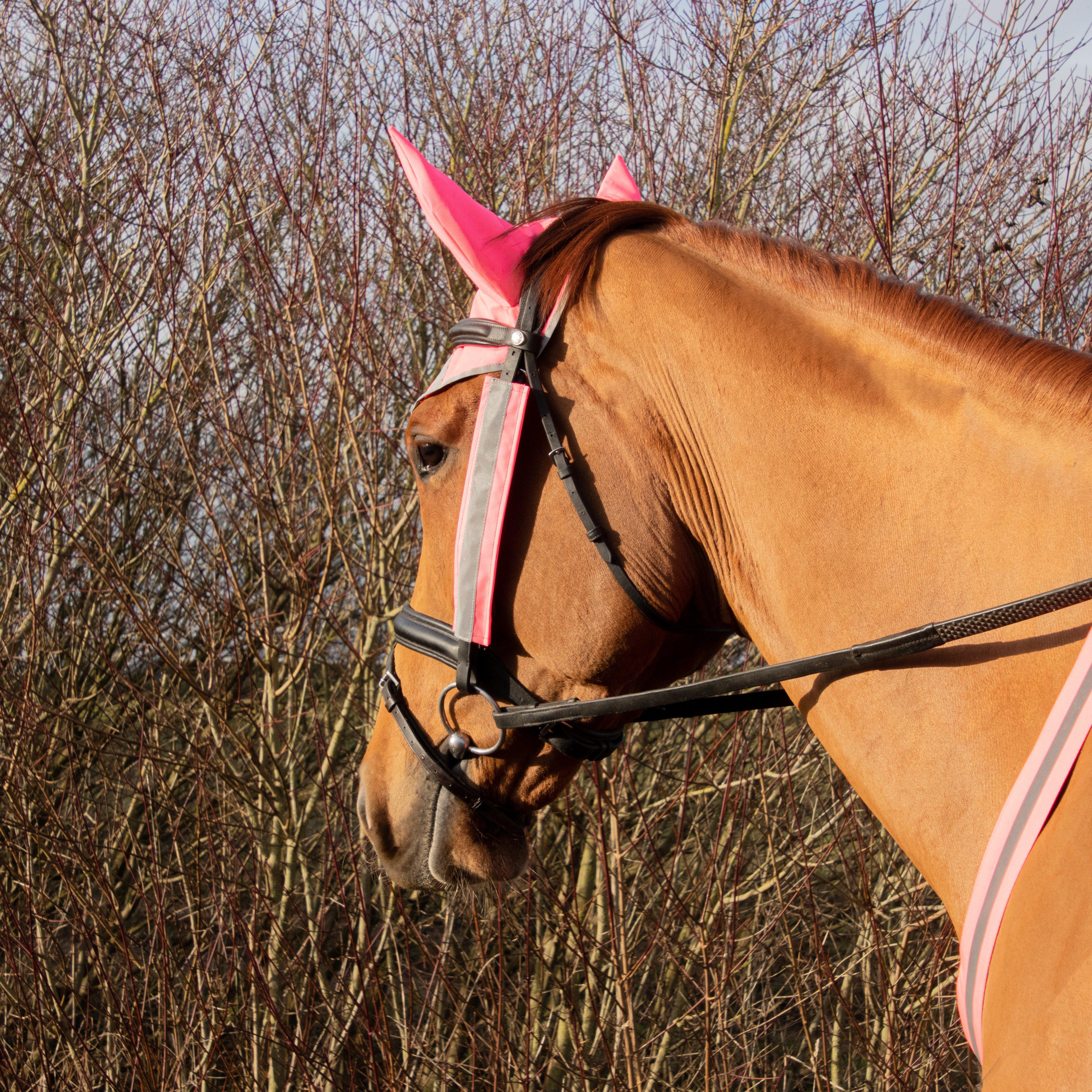 HyVIZ Bridle Set Pink - Image 4