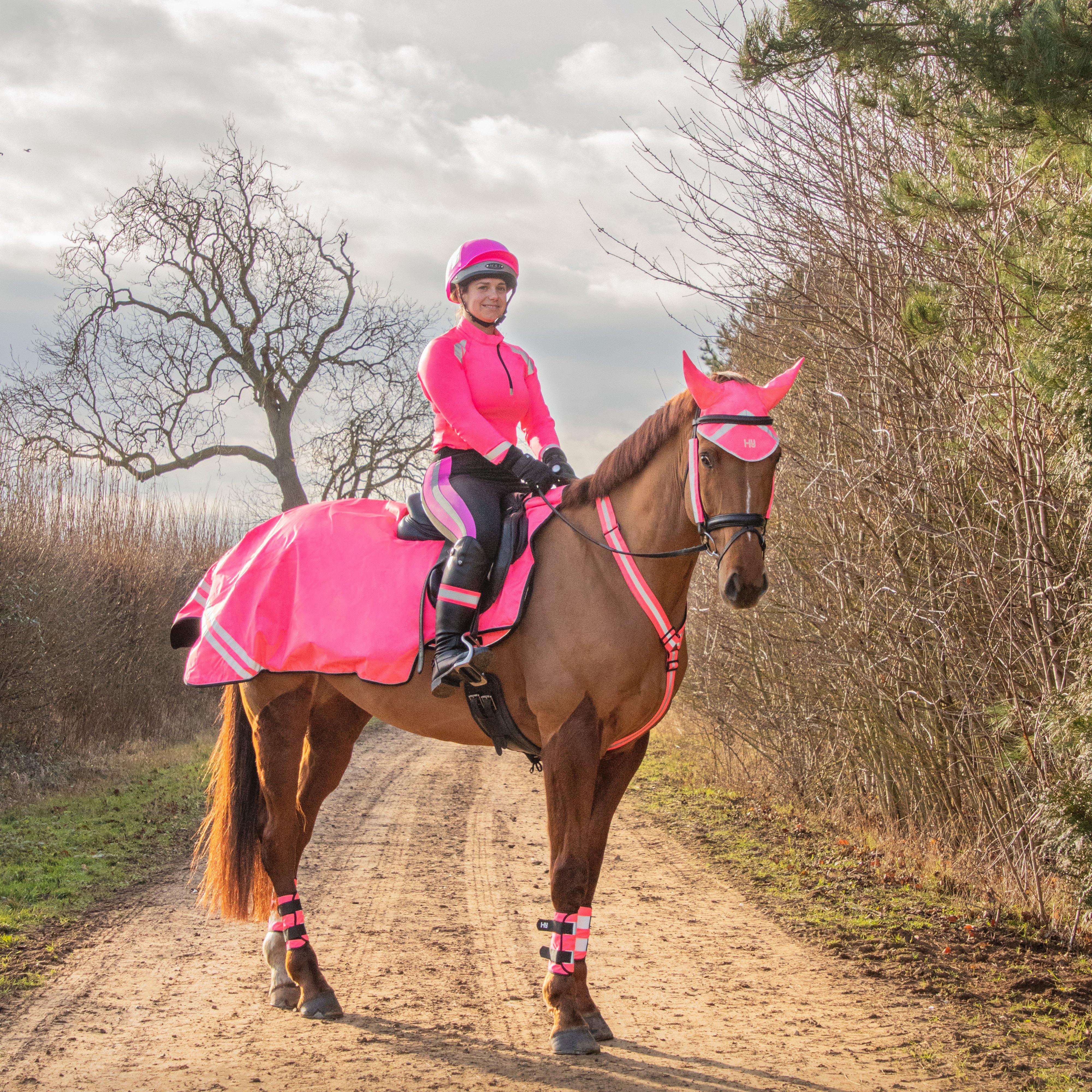 HyVIZ Bridle Set Pink - Image 5
