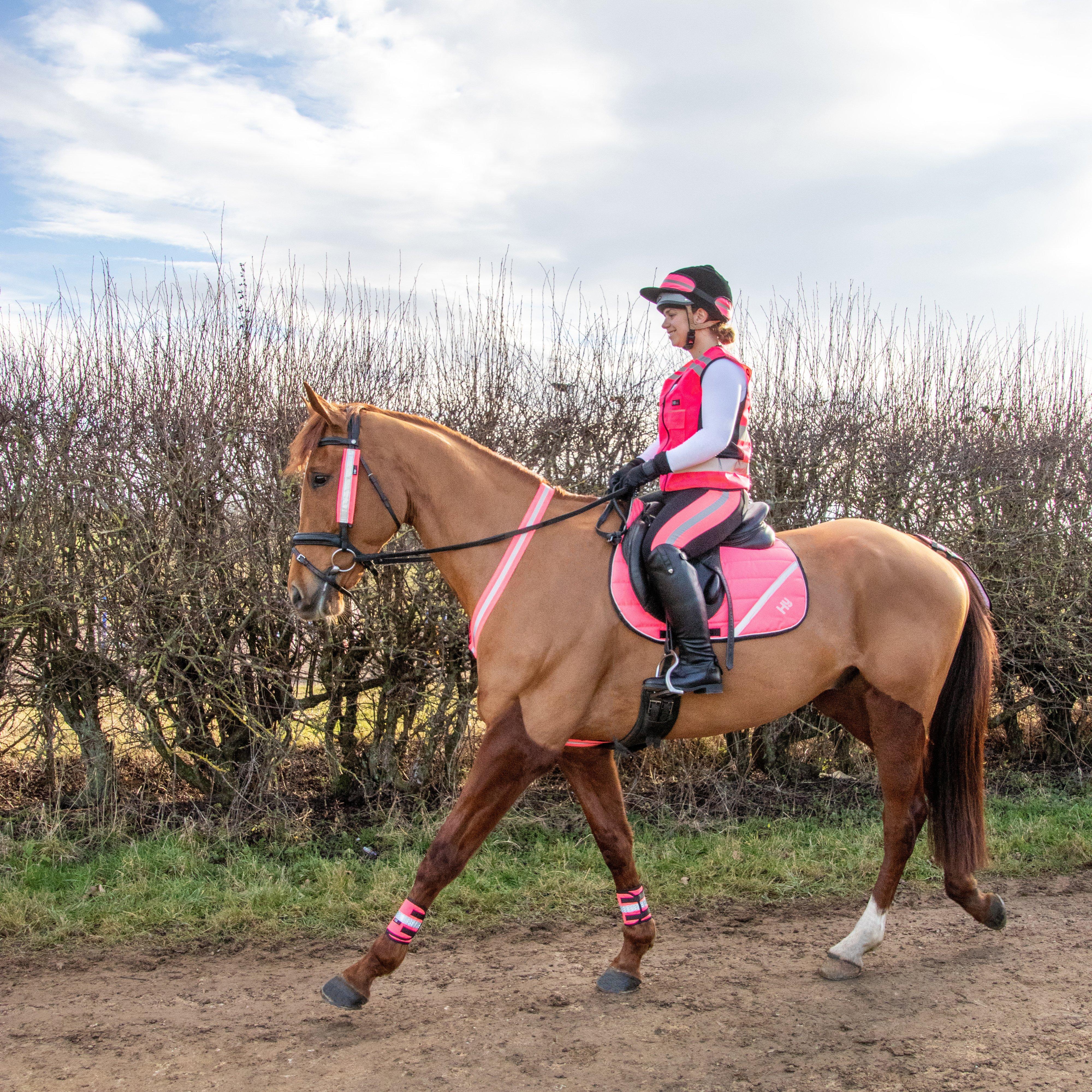 HyVIZ Bridle Set Pink - Image 6