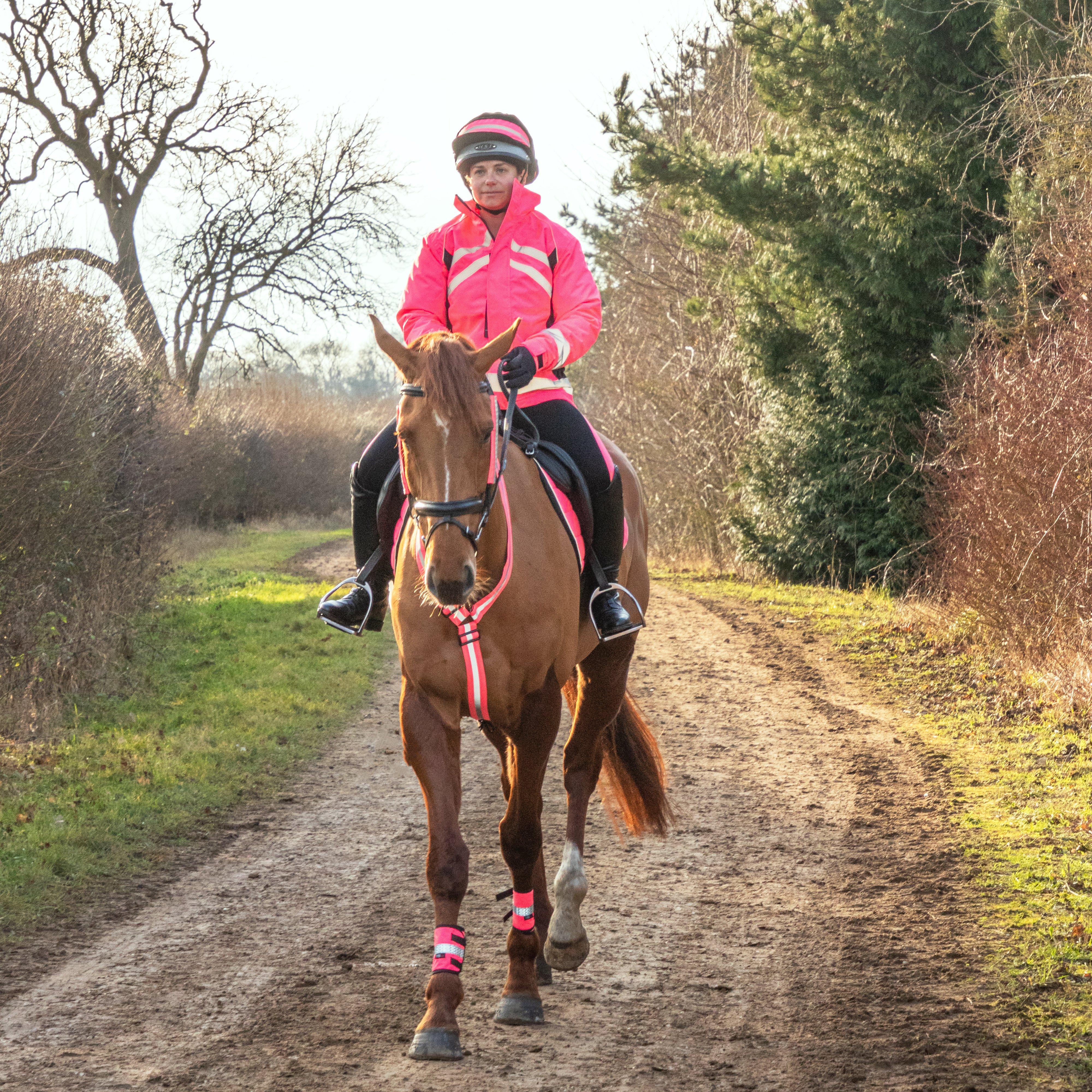 HyVIZ Bridle Set Pink - Image 7