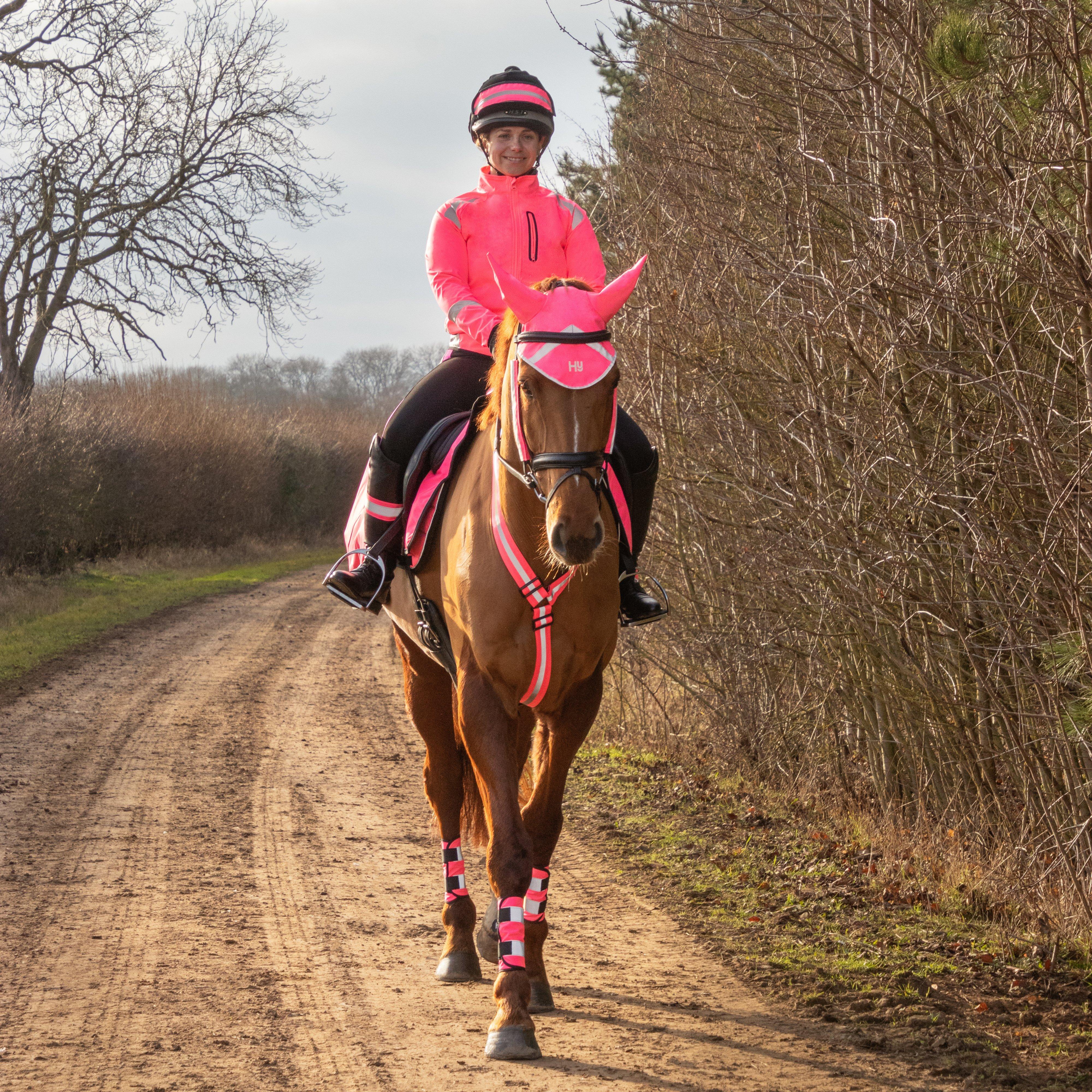 HyVIZ Bridle Set Pink - Image 9