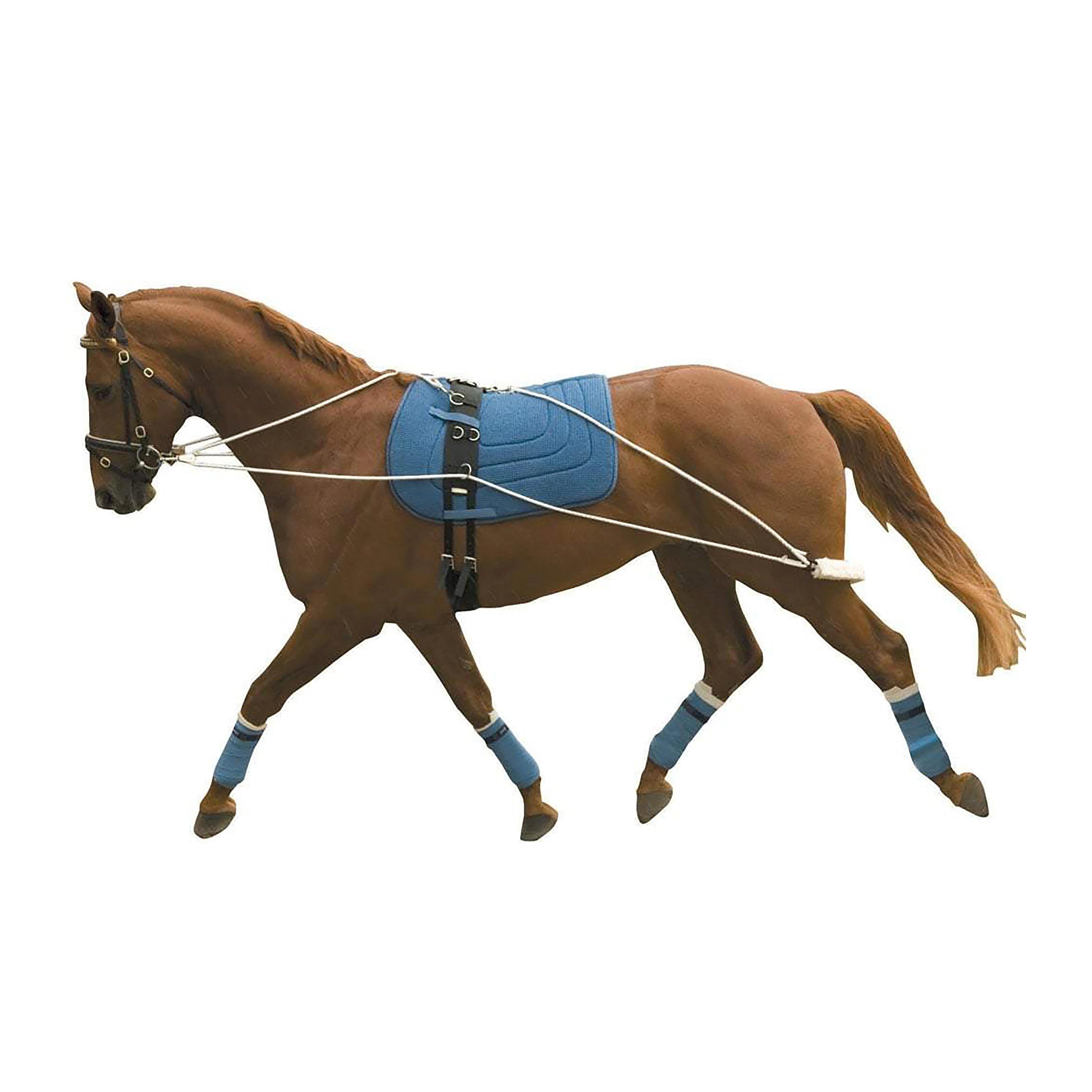 Lunge Training System - Image 3