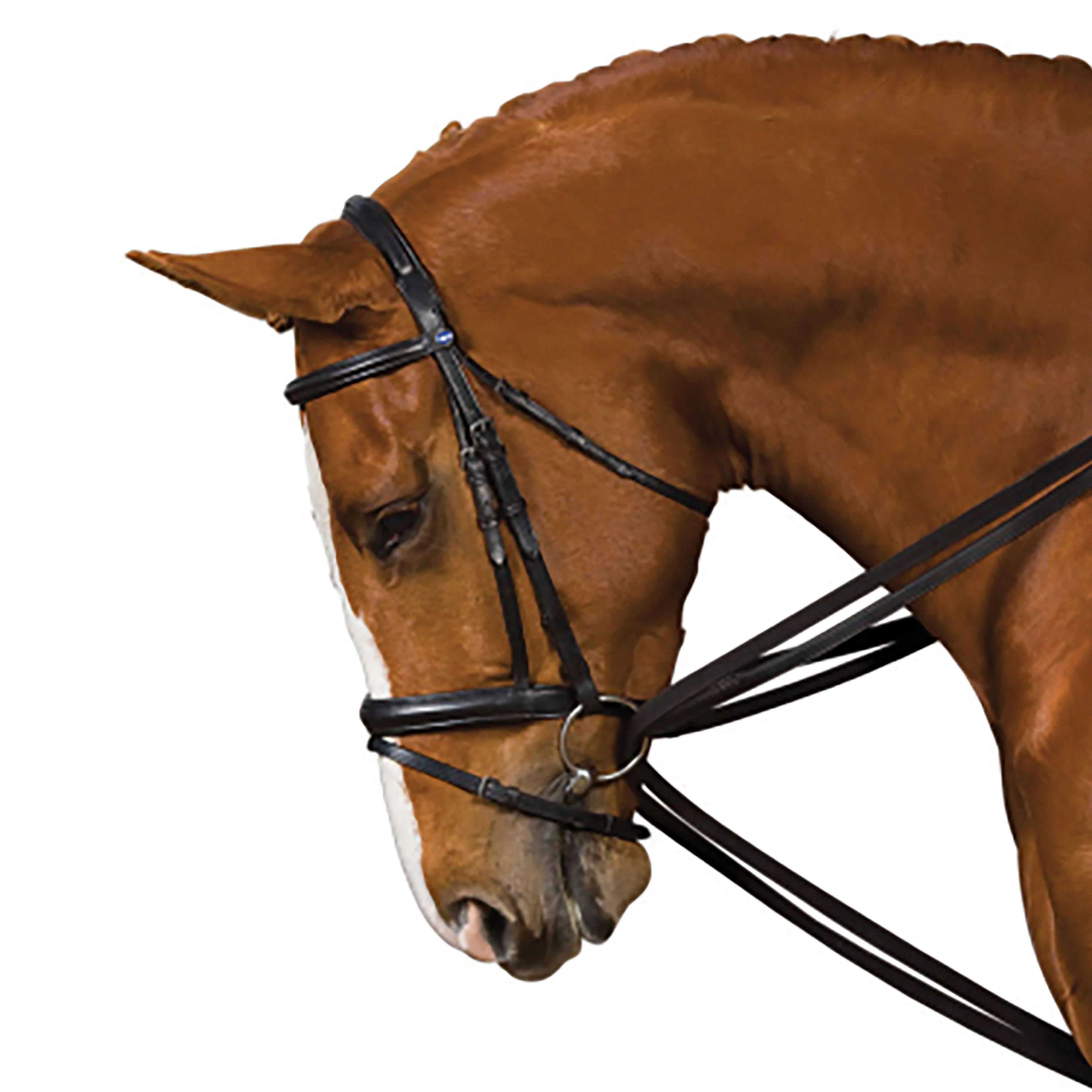 Webbed Draw Reins Black - Image 3