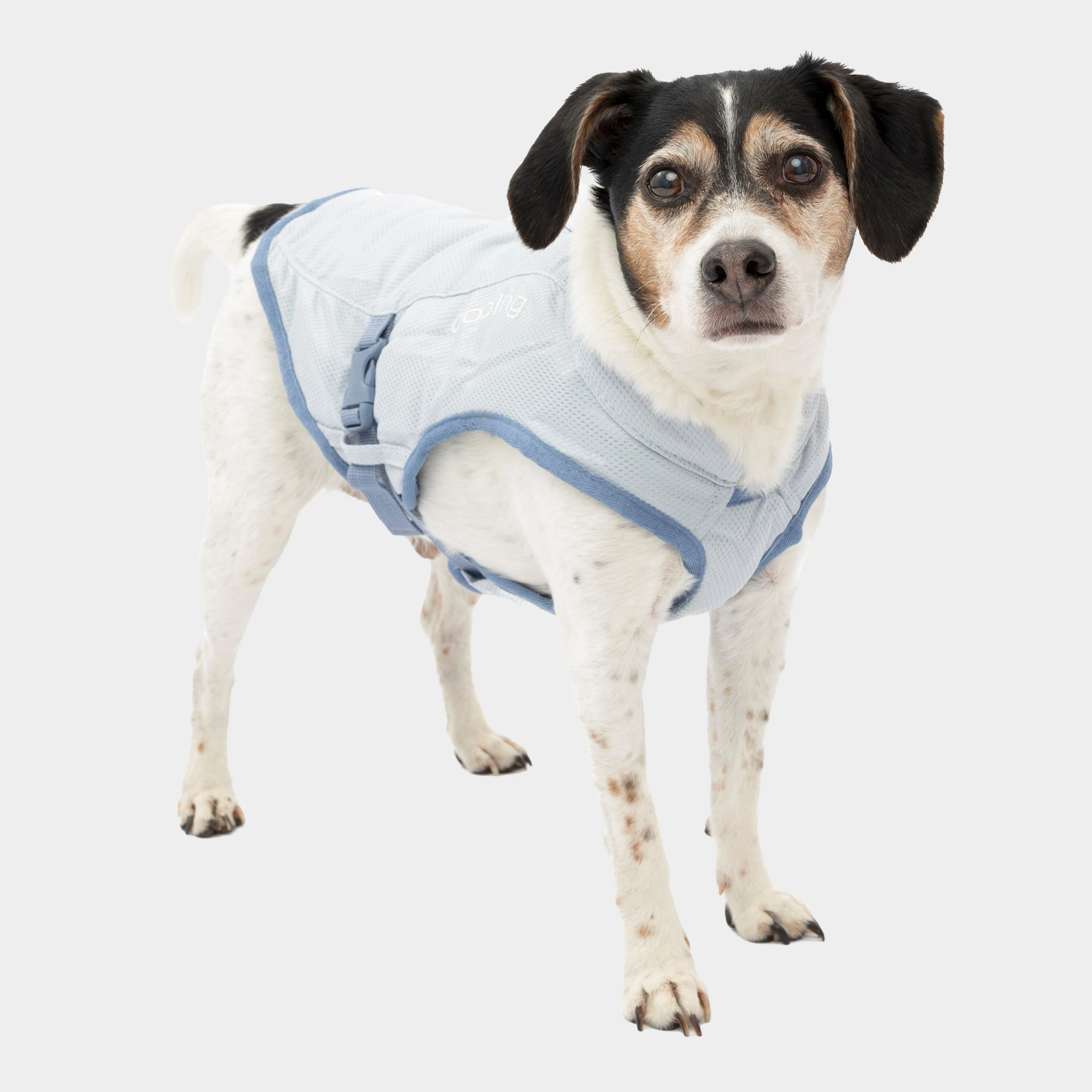 Dog Core Cooling Vest Blue - Image 2