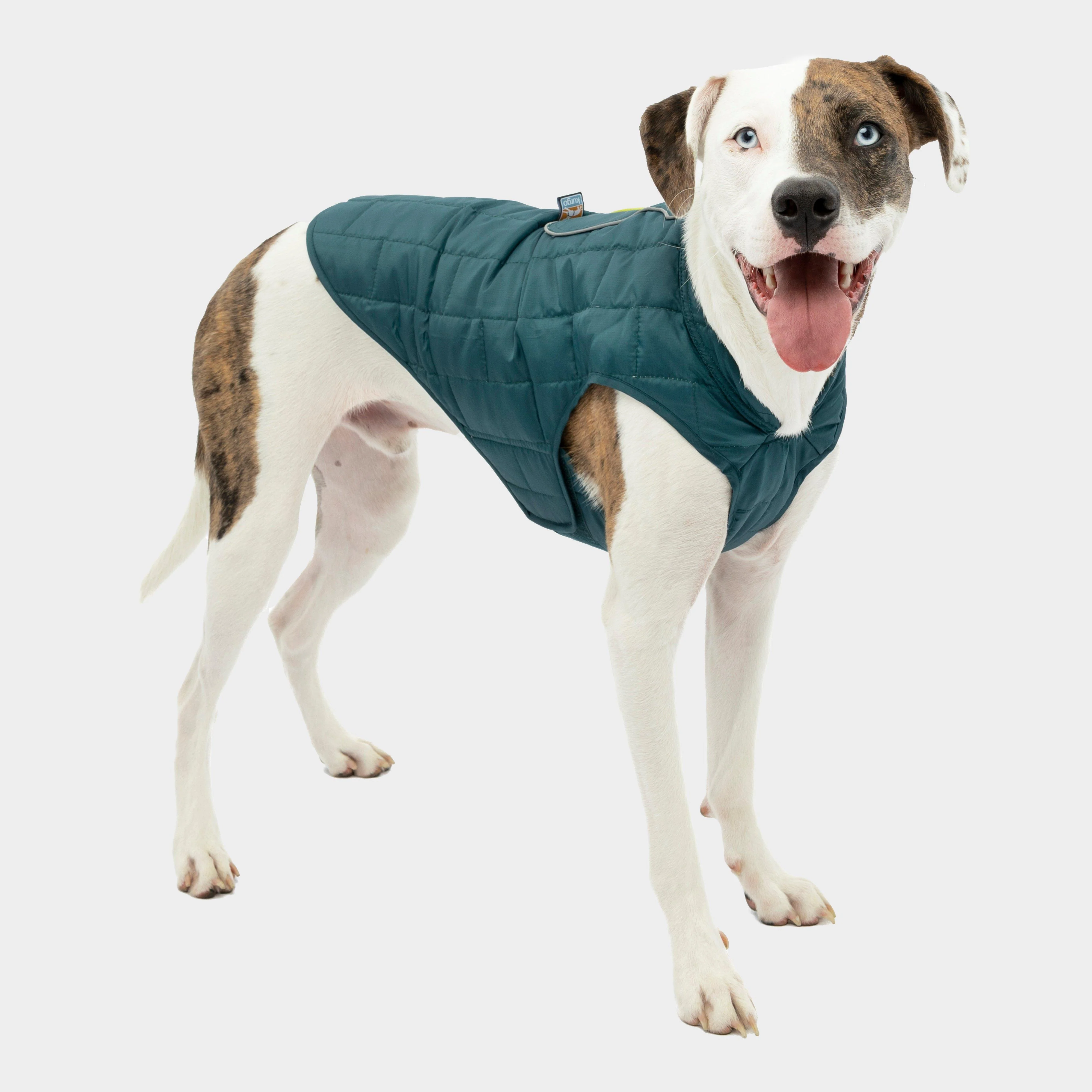 Loft Dog Jacket Blue/Sea - Image 2