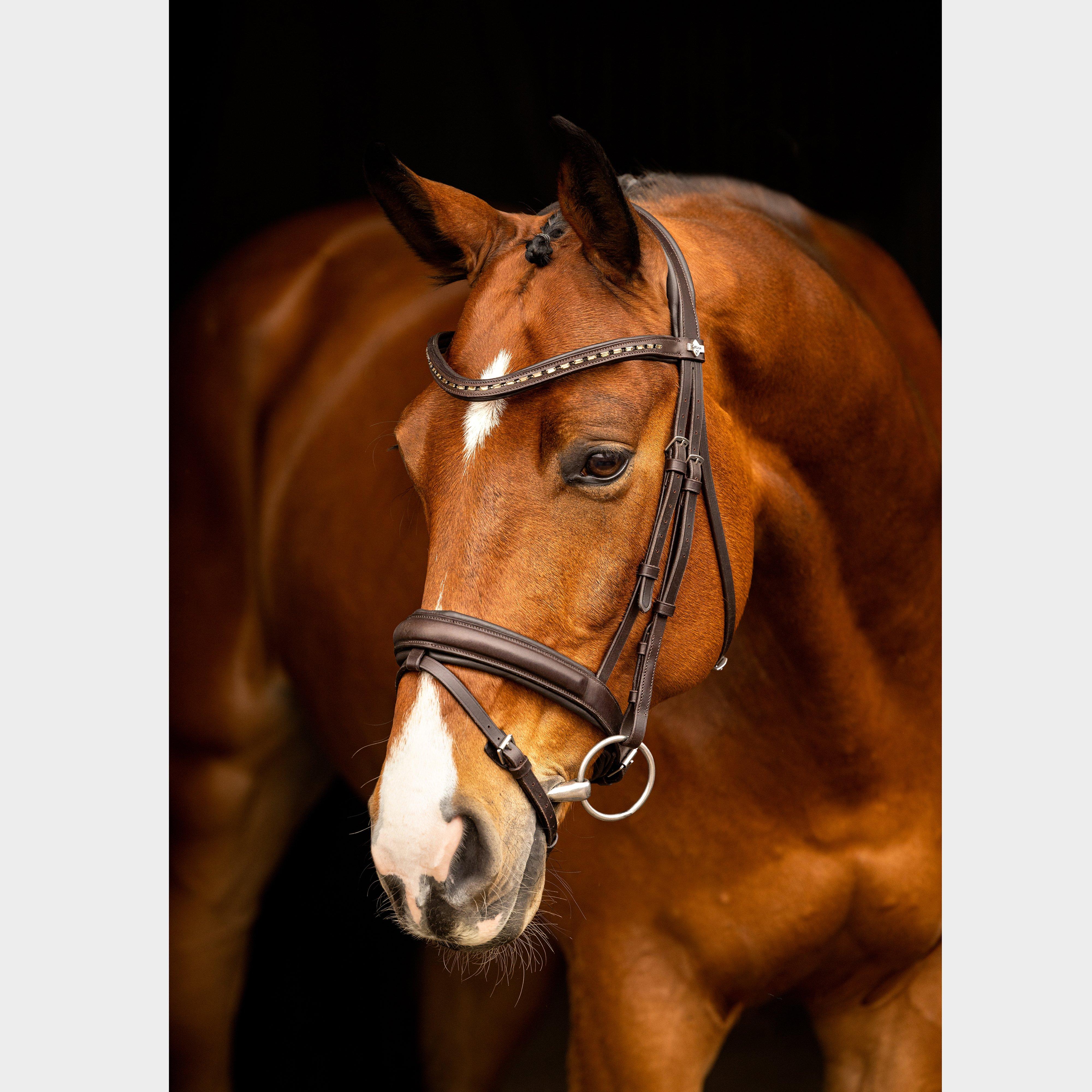 Arika Dressage Bridle Brown/Silver - Image 2