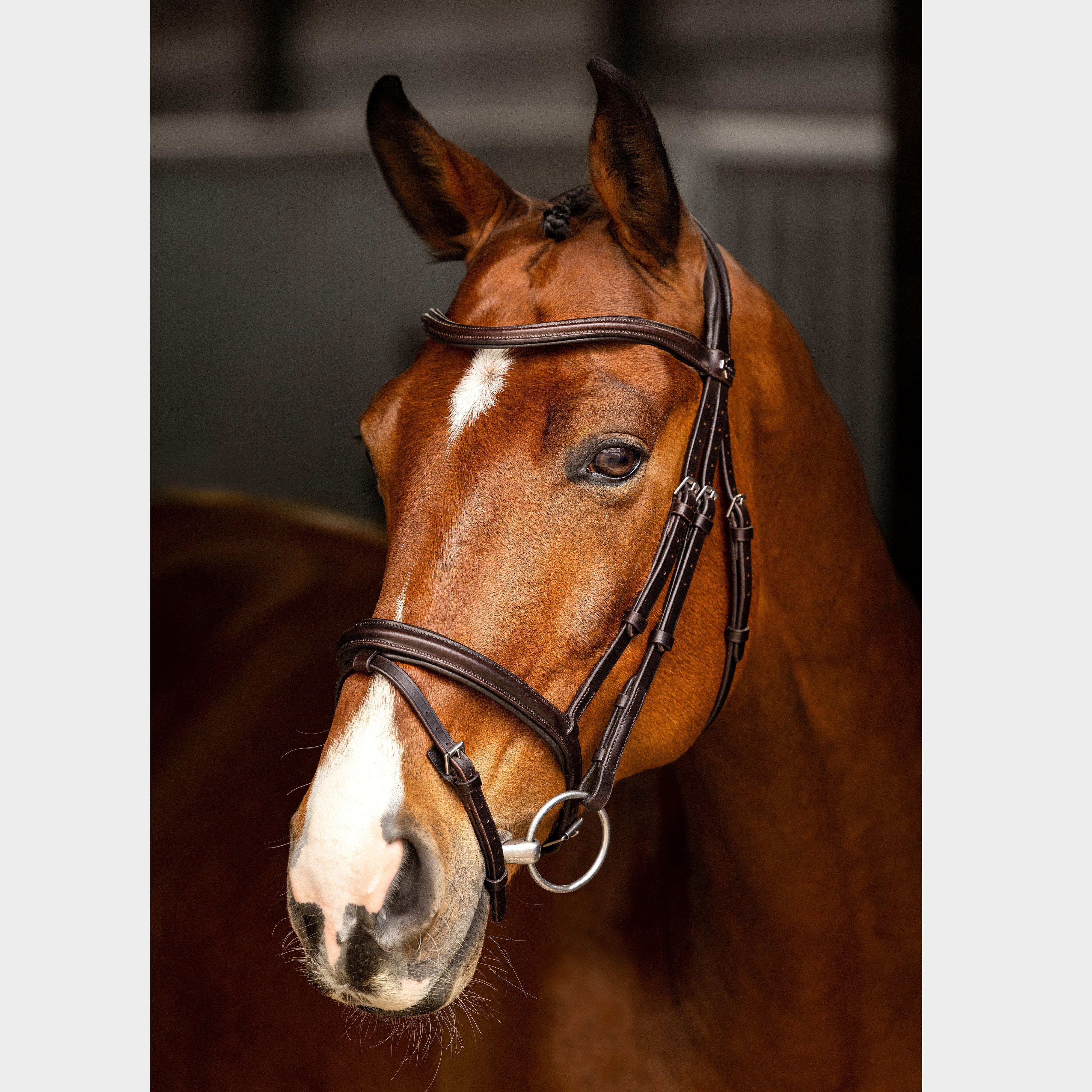 Arika Flash Bridle Brown/Silver - Image 2
