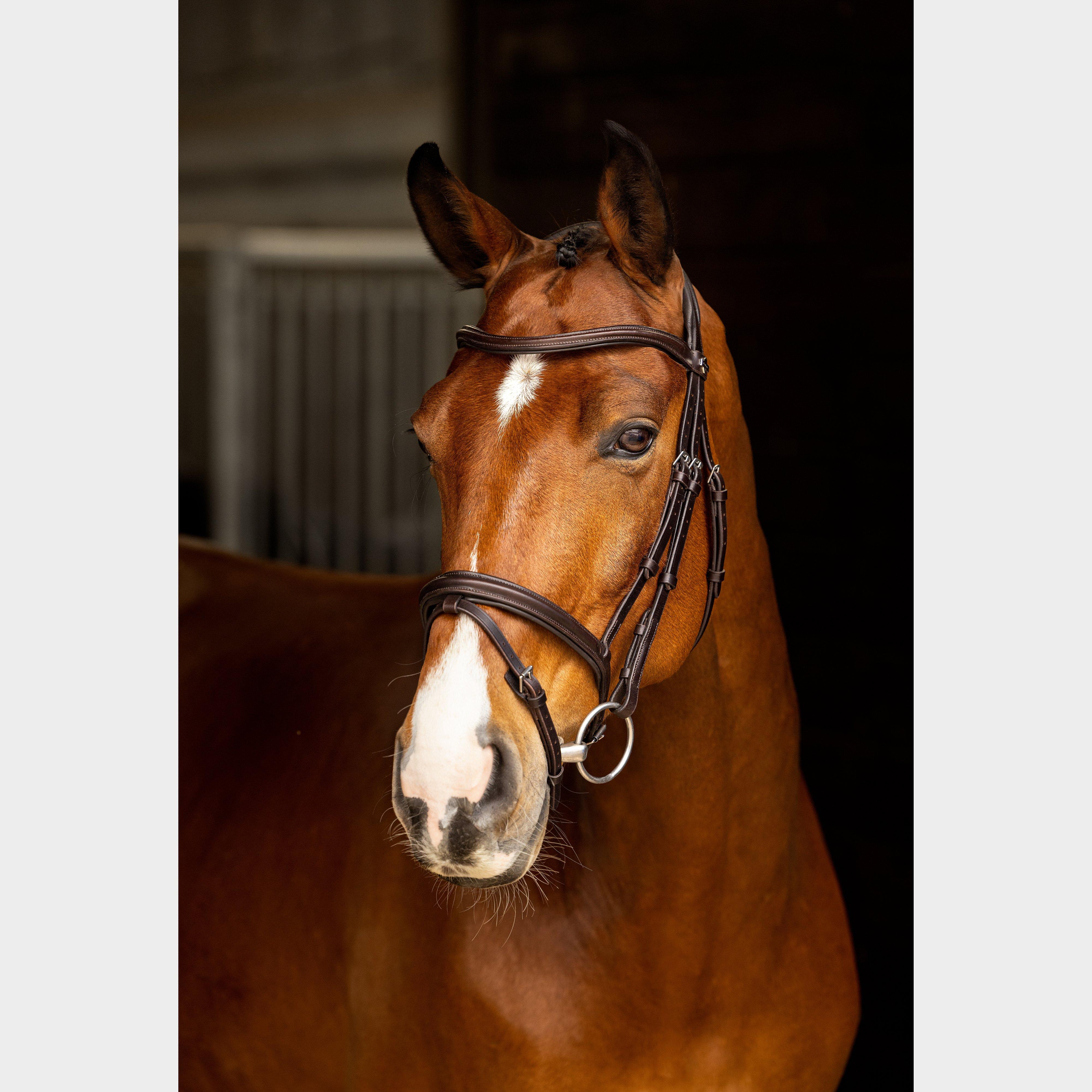Arika Flash Bridle Brown/Silver - Image 3