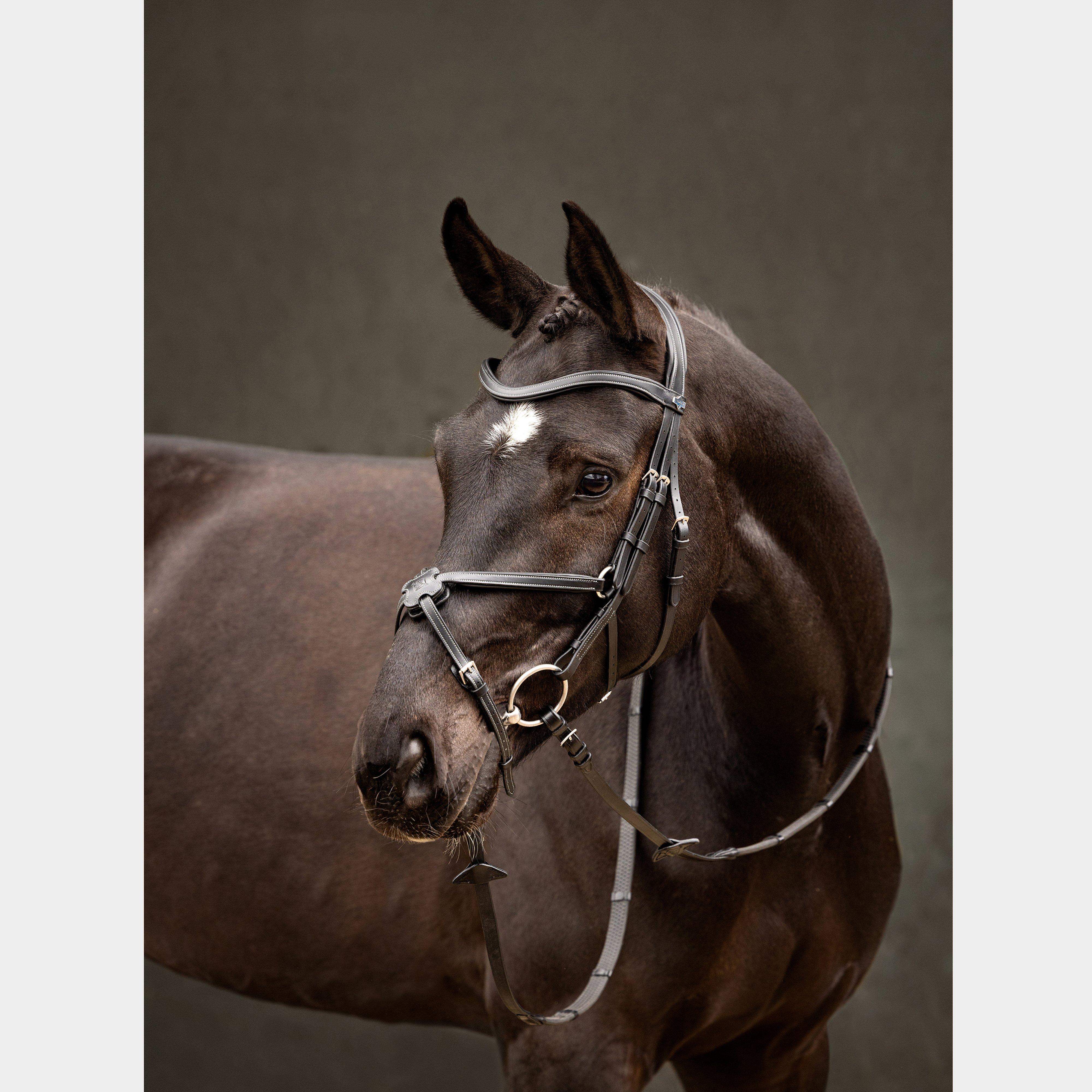 Arika Grackle Bridle Black/Silver - Image 3