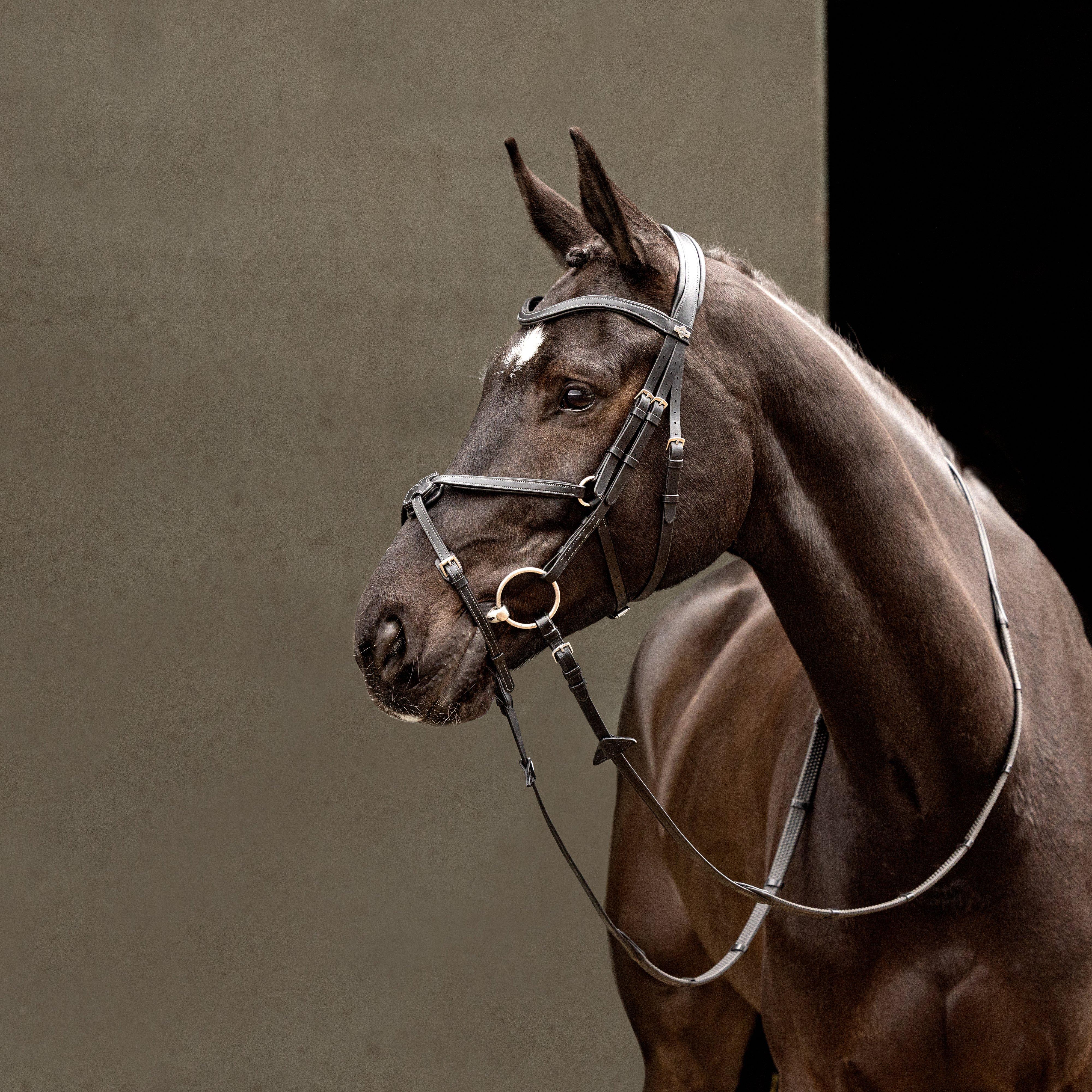 Arika Grackle Bridle Black/Silver - Image 5