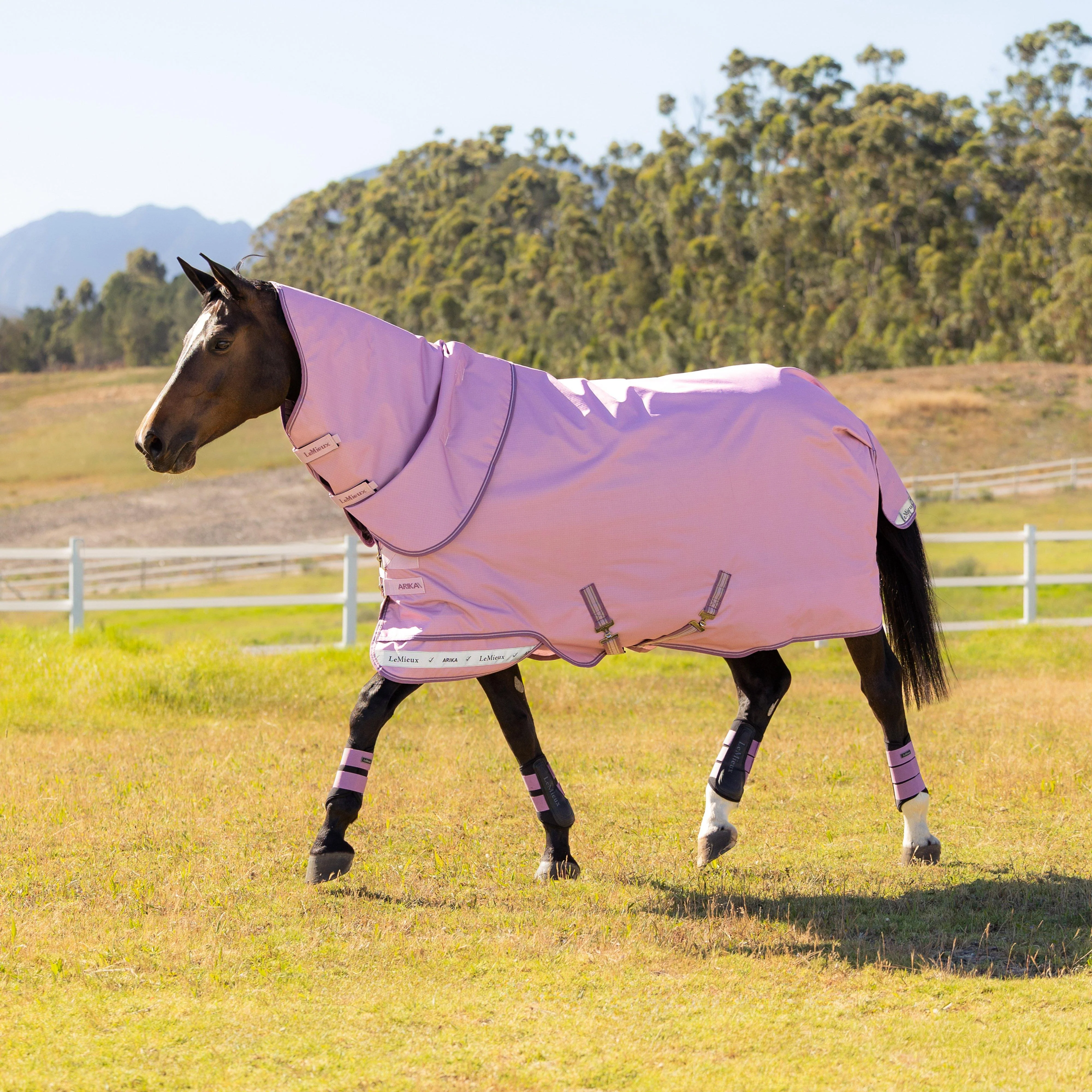 Arika Ripstop Turnout Rug 0g Fondant - Image 4