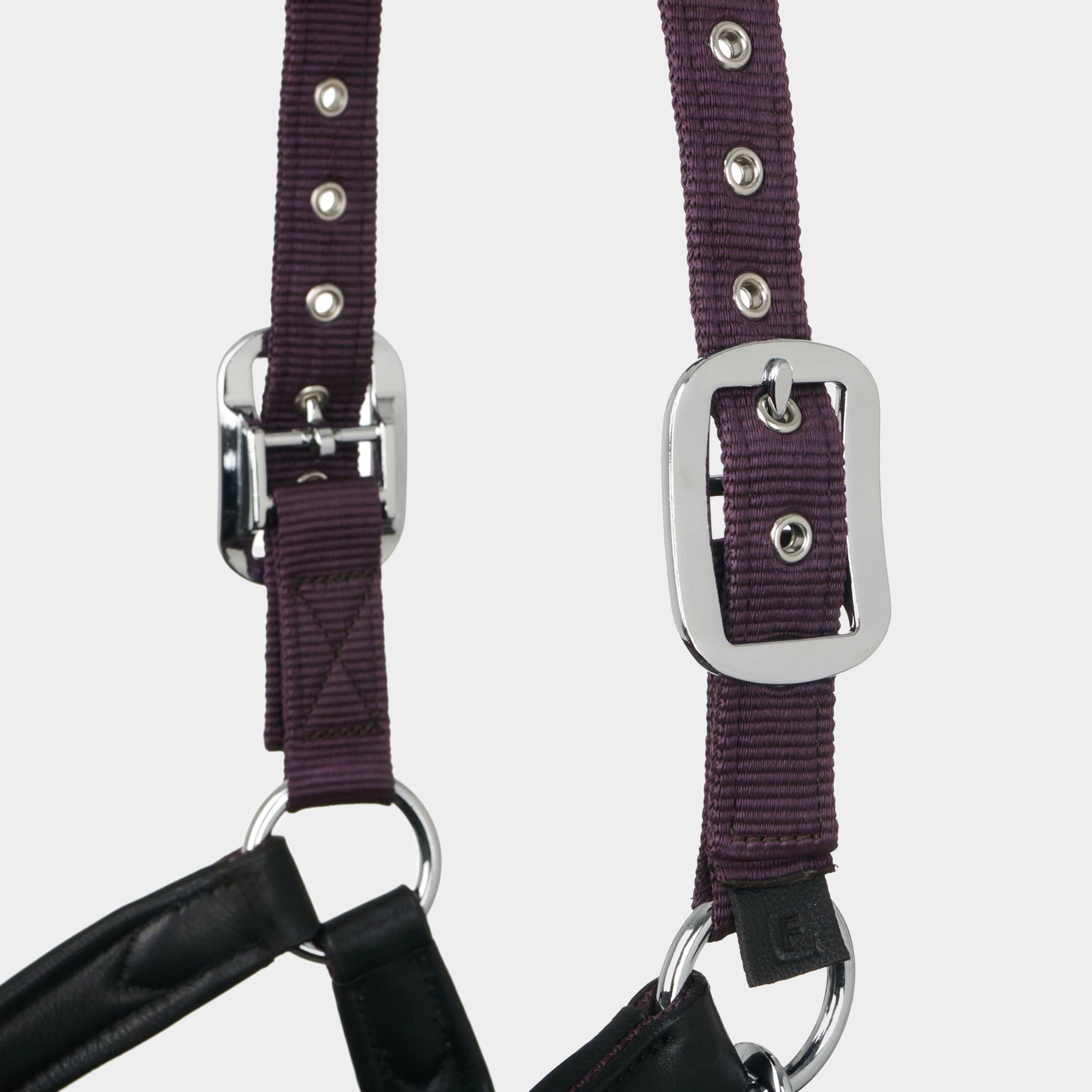 Capella Headcollar Fig - Image 2