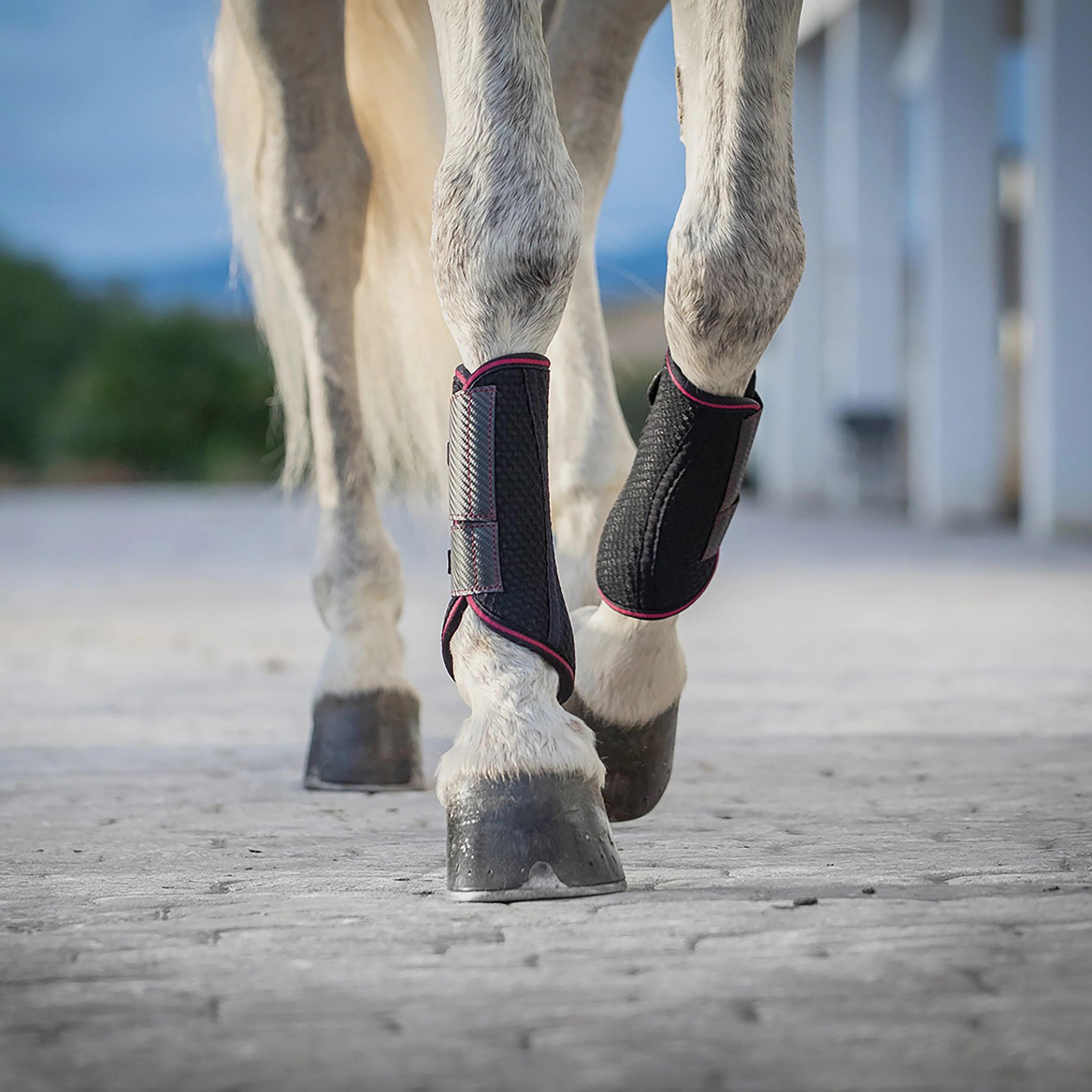 Carbon Mesh Wrap Boots Black/Mulberry - Image 7