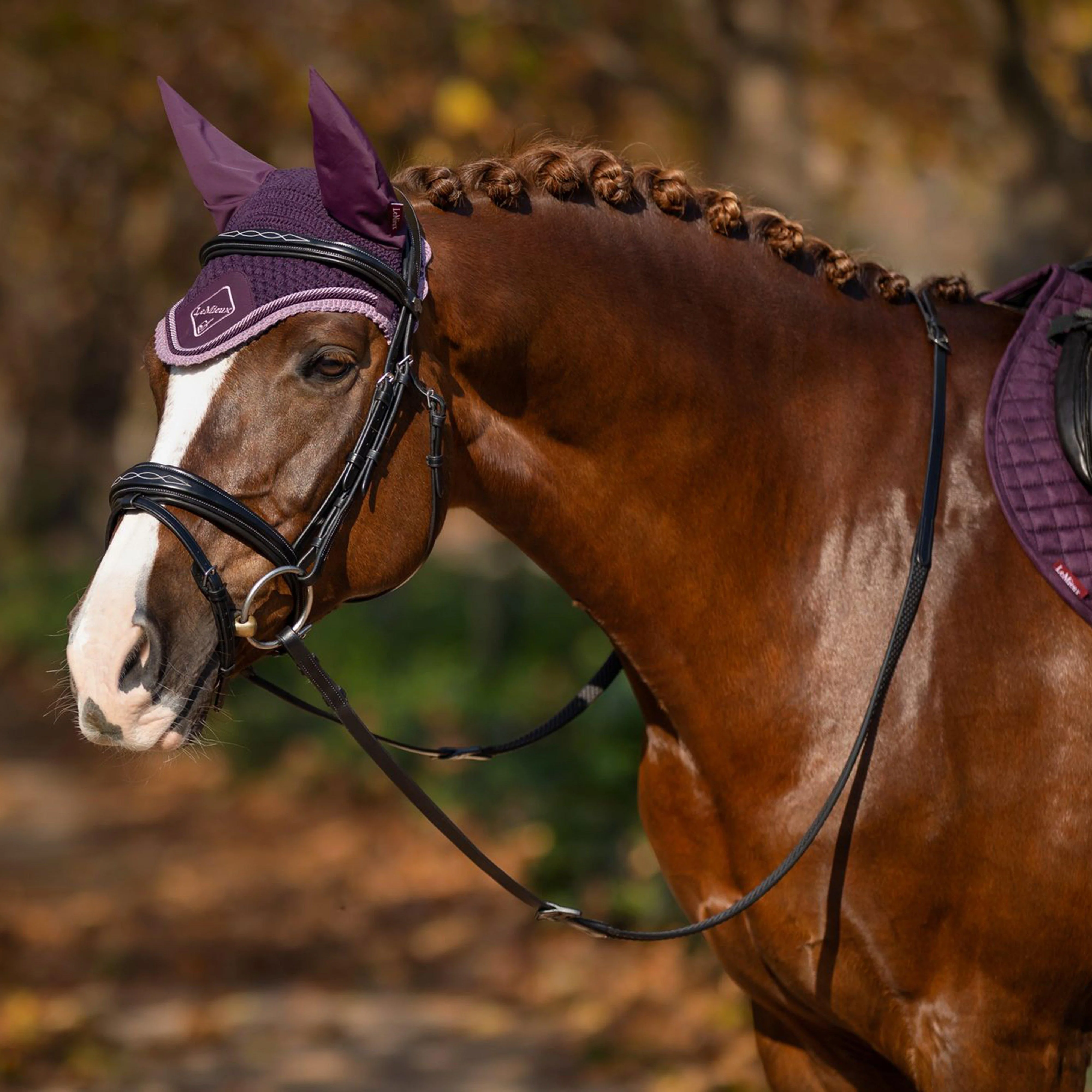 Classic Fly Hood Fig - Image 3
