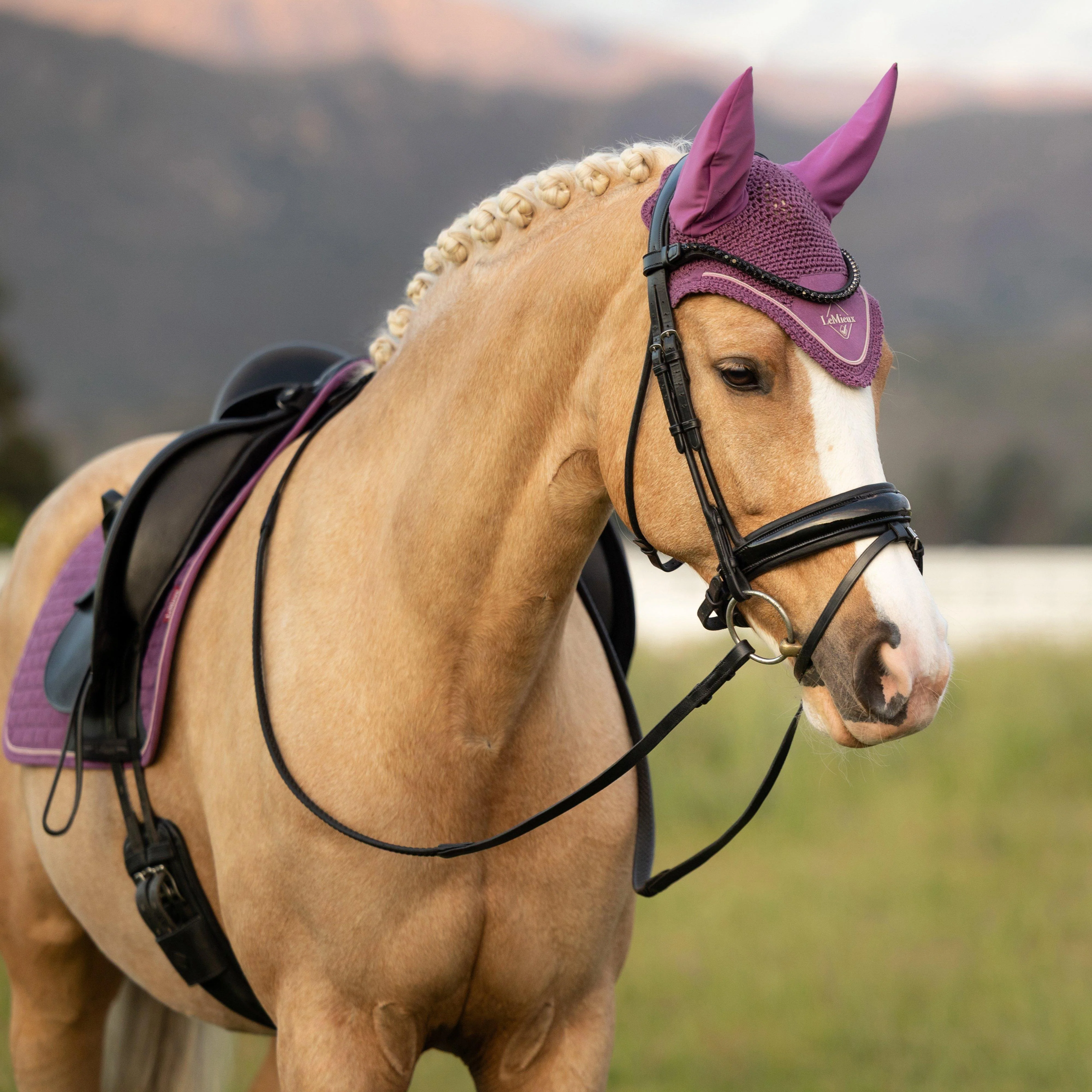 Classic Fly Hood Mallow - Image 2