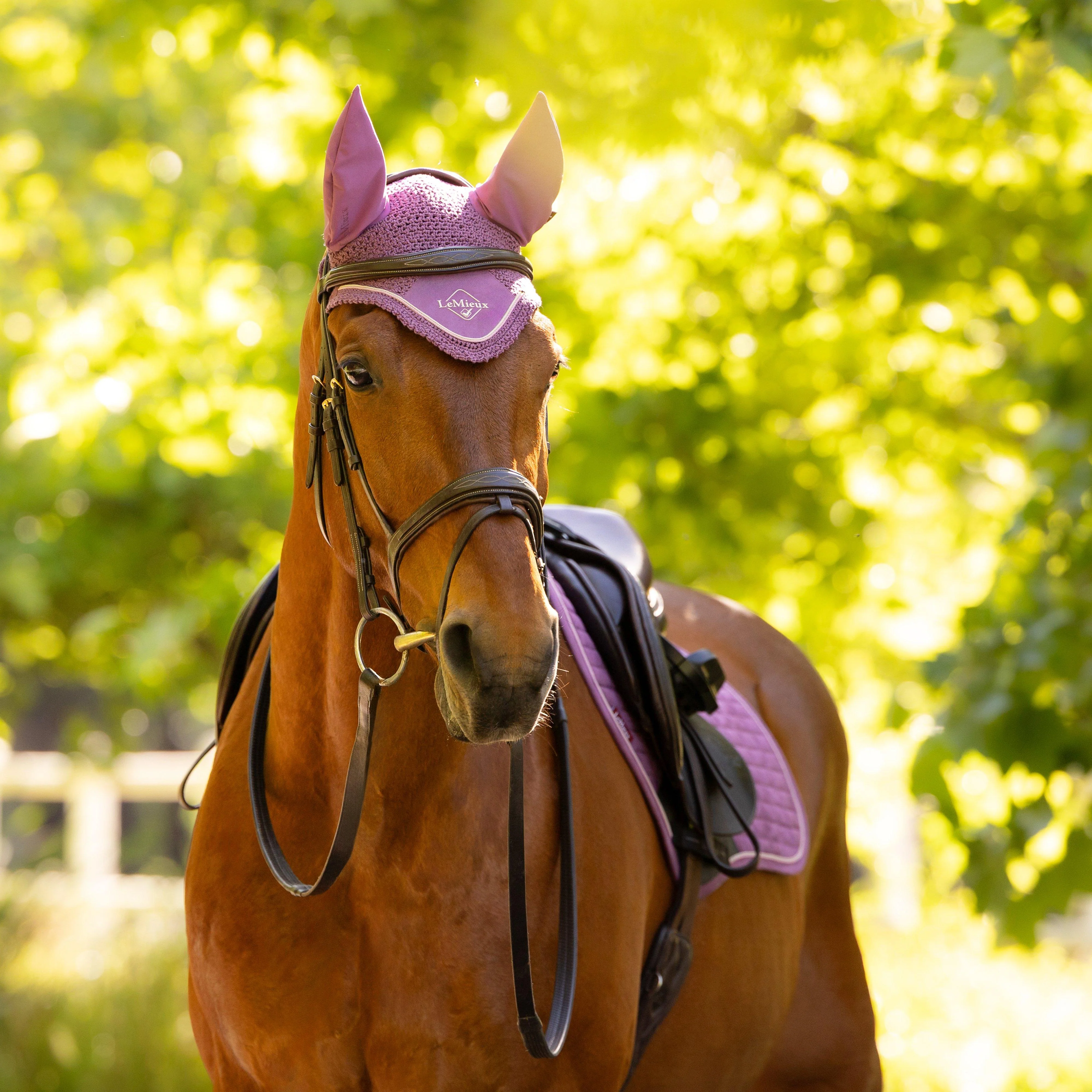 Classic Fly Hood Mallow - Image 3