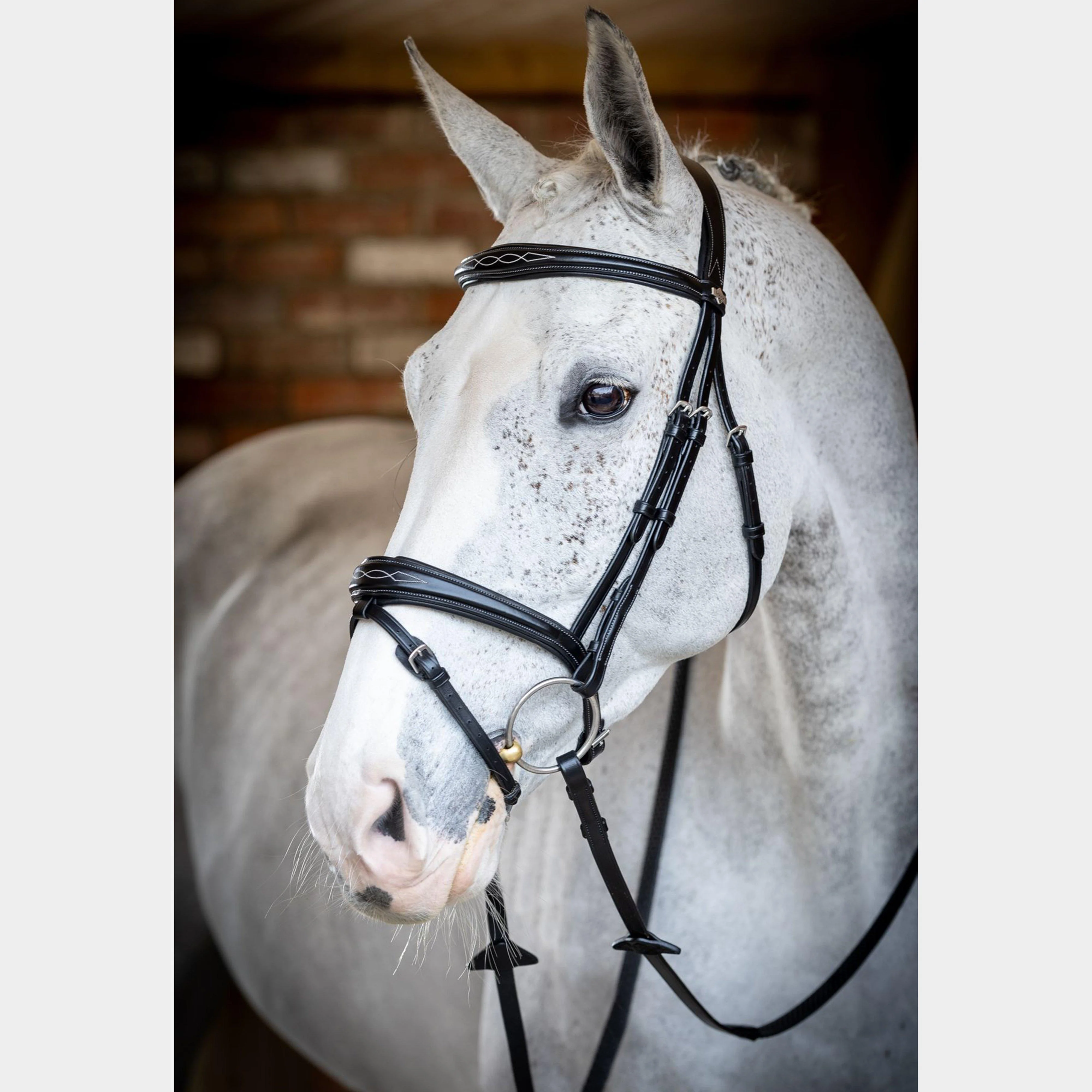Competition Flash Bridle Black - Image 3