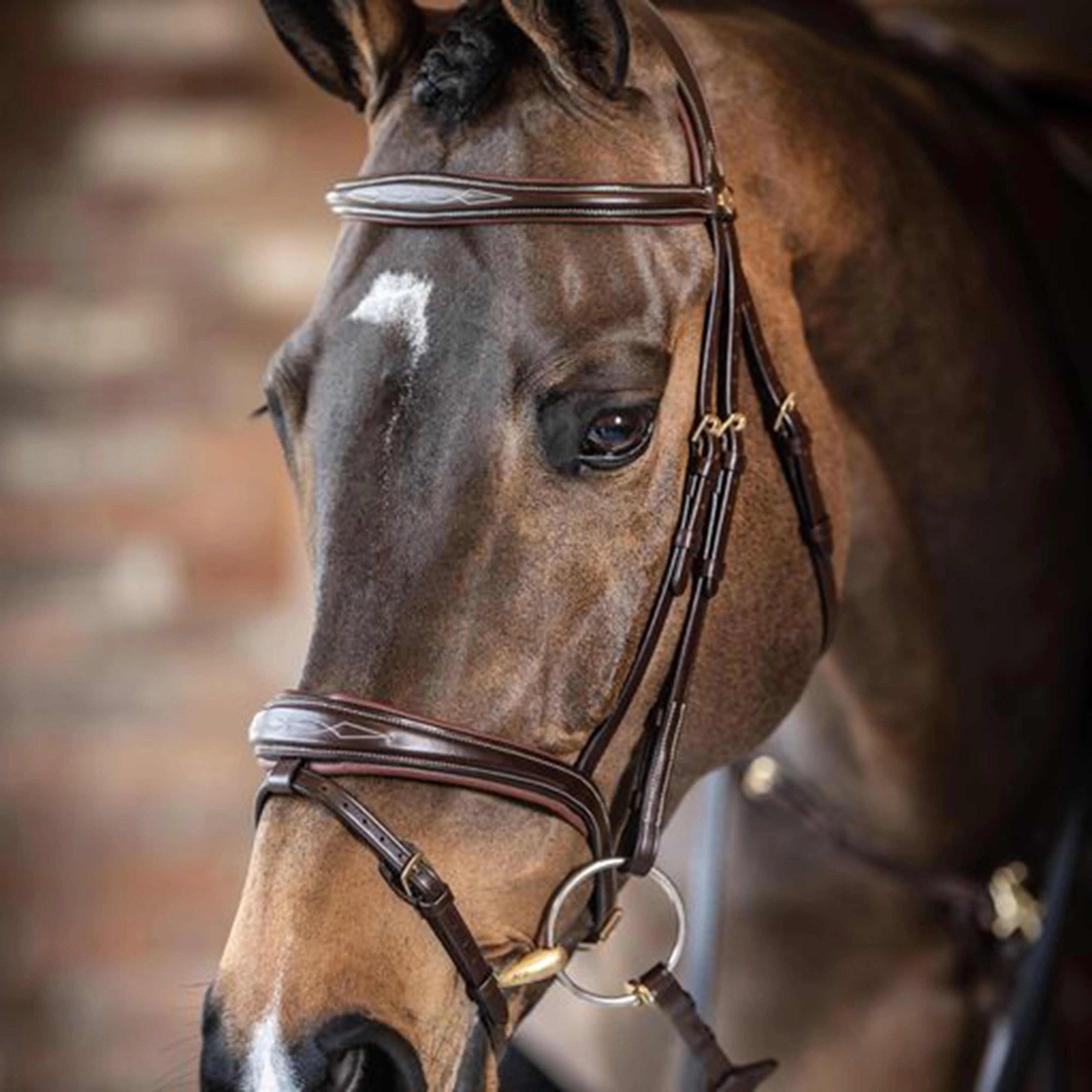 Competition Flash Bridle Brown - Image 10