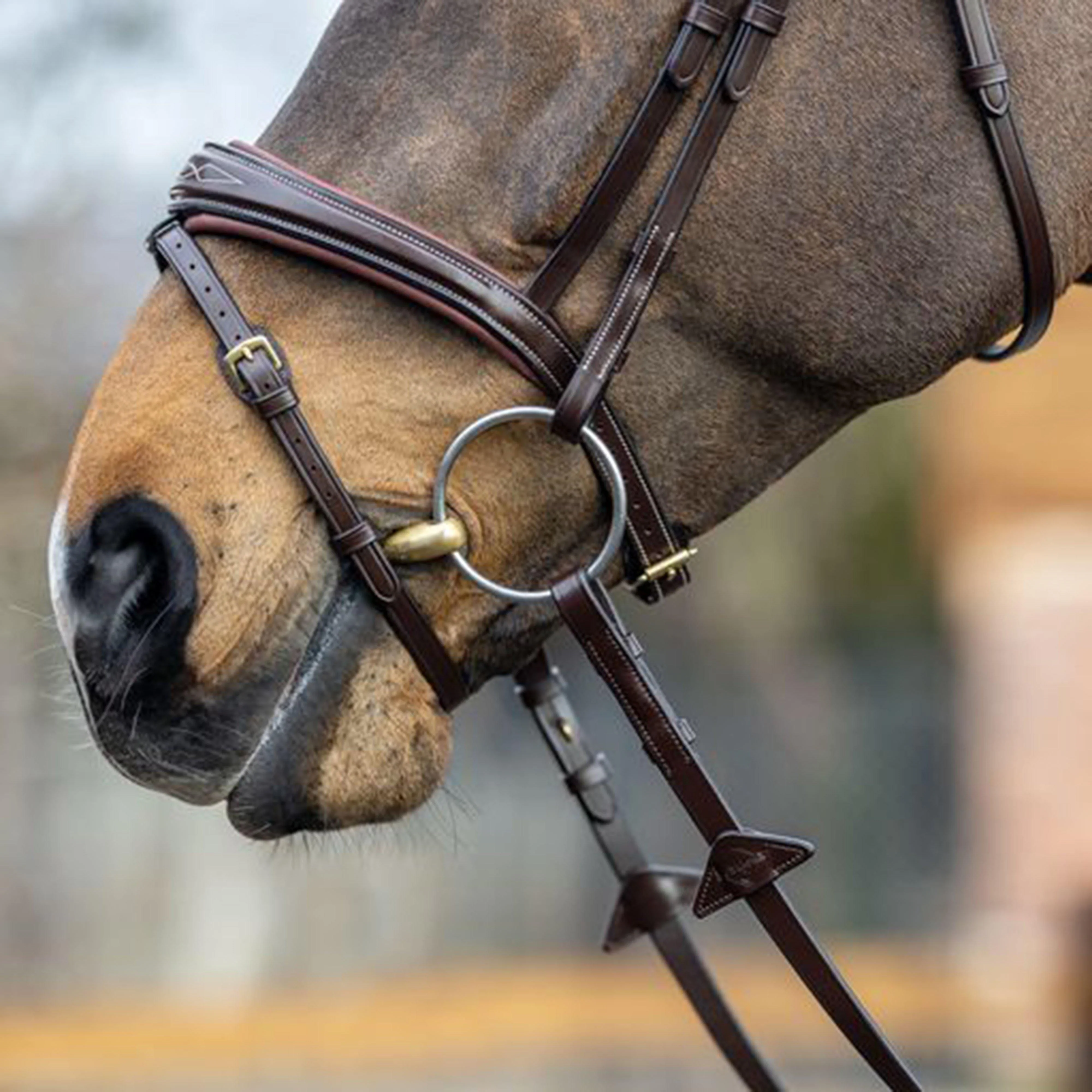 Competition Flash Bridle Brown - Image 3