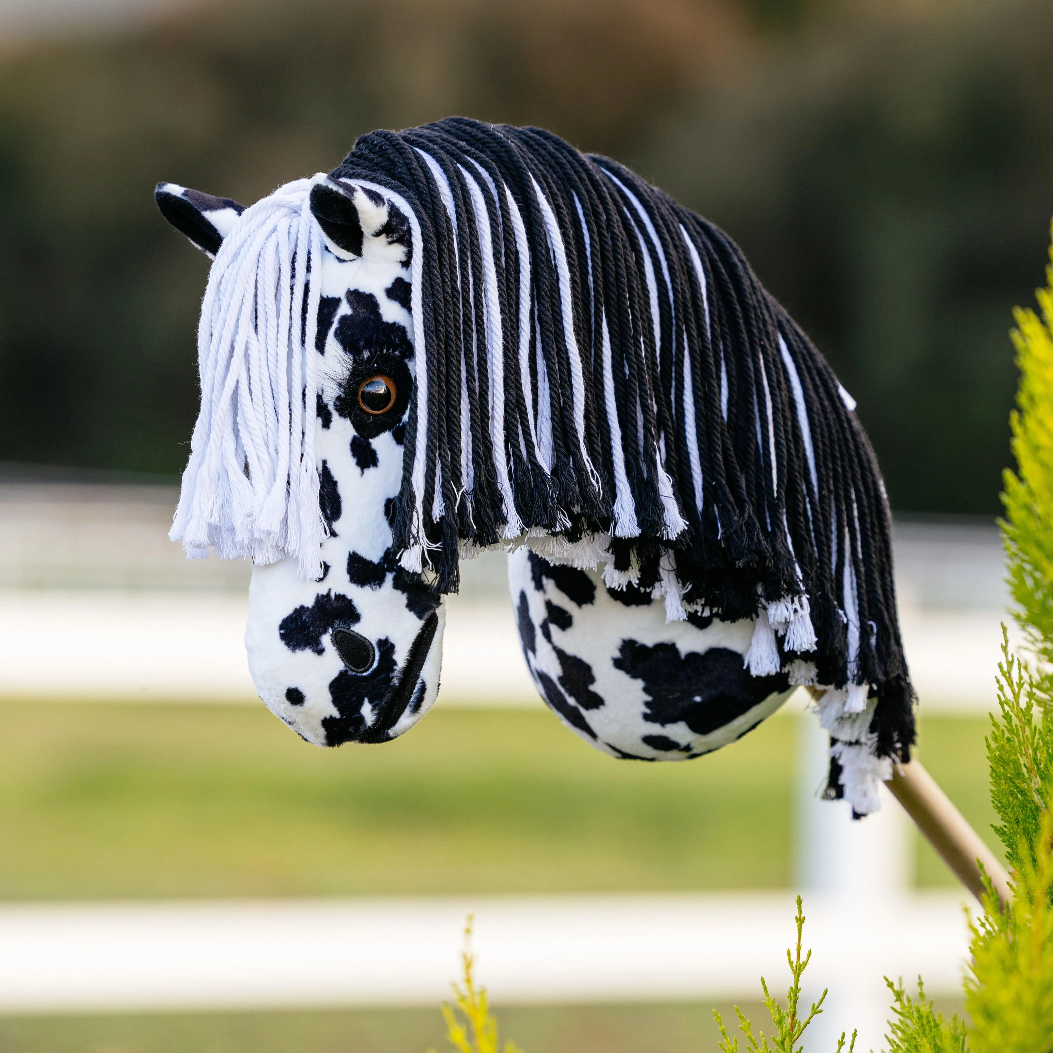Hobby Horse Dakota - Image 4
