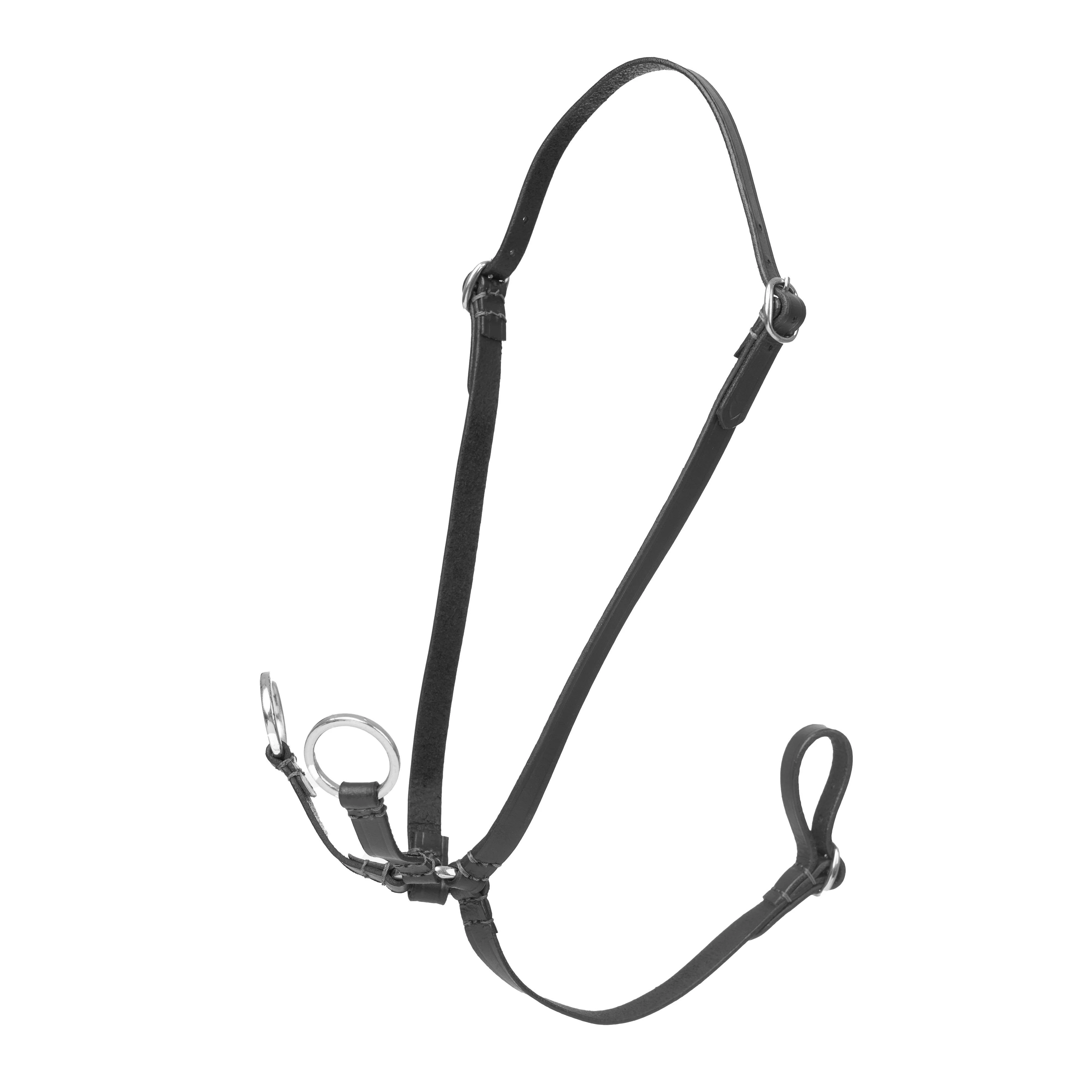 Hobby Horse Running Martingale Black - Image 2