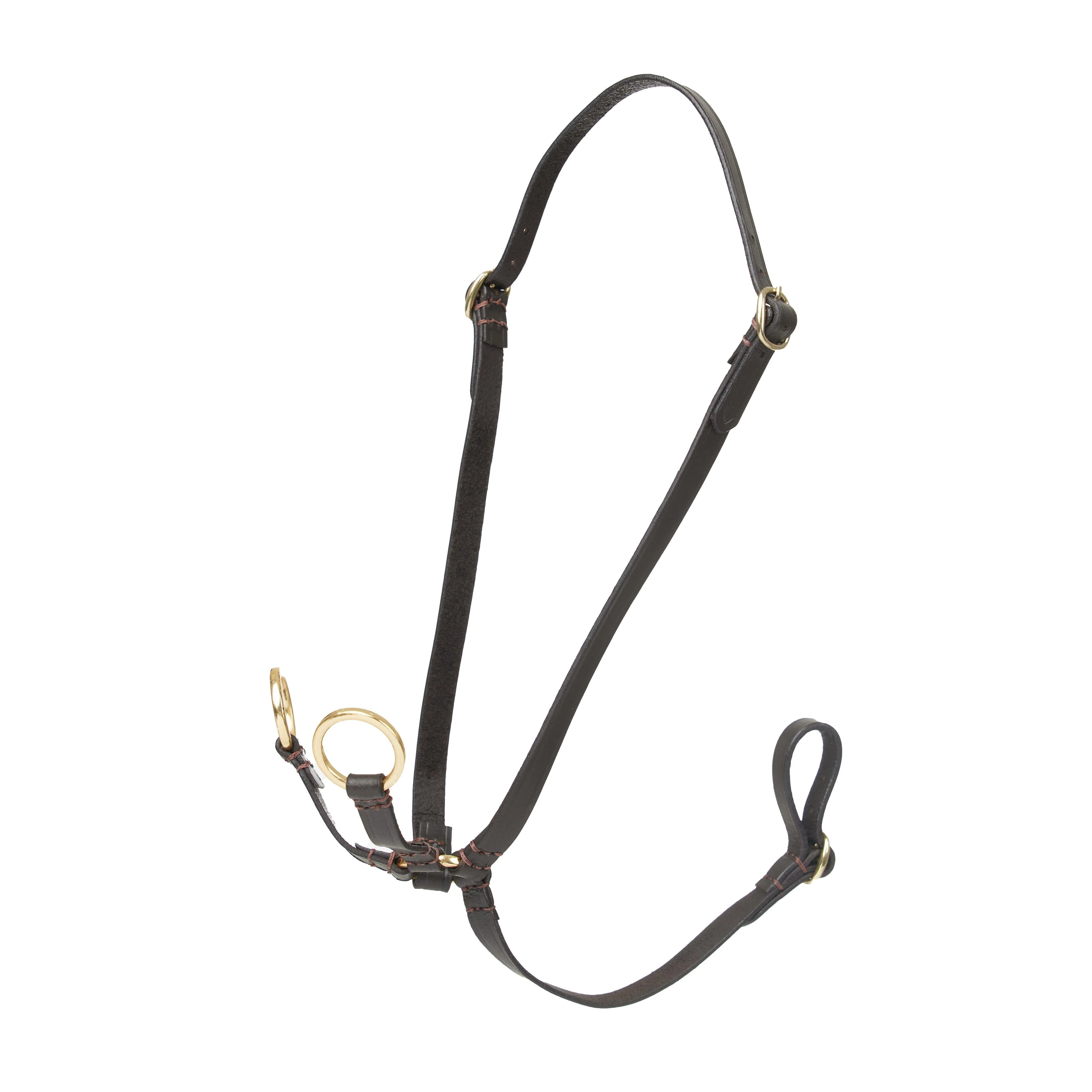 Hobby Horse Running Martingale Brown - Image 2