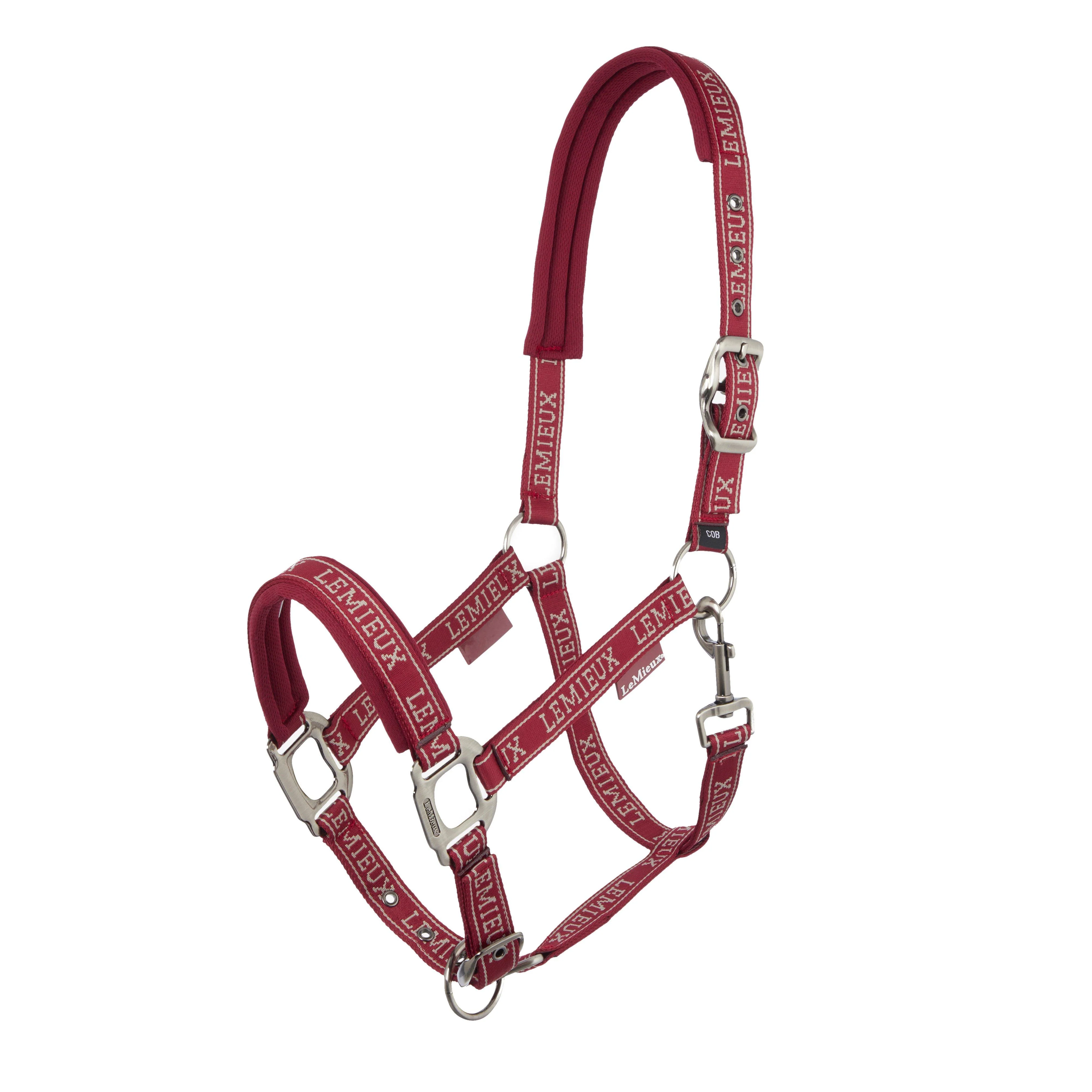 Logo Headcollar Ember - Image 3