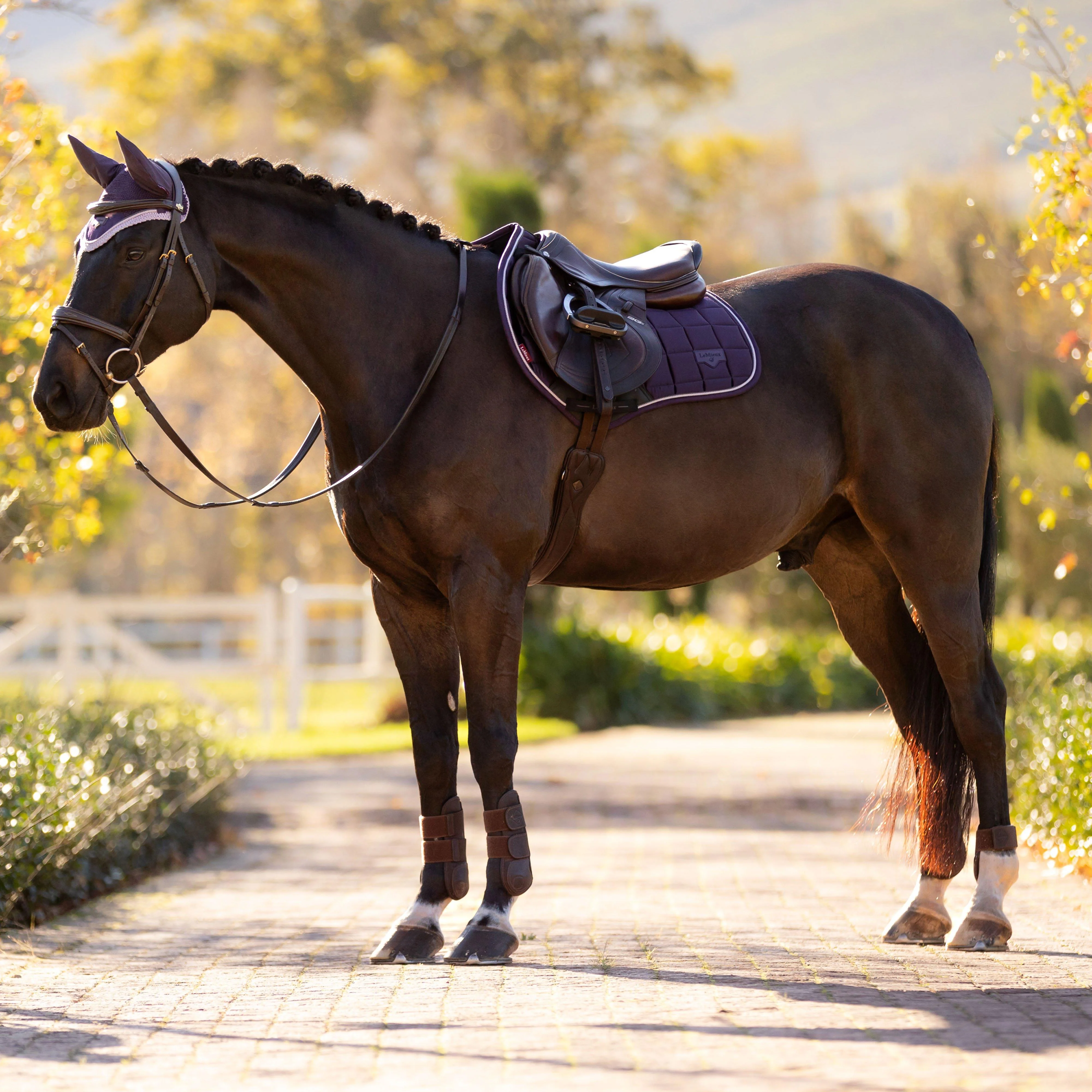 Loire Close Contact Saddle Pad Juniper - Image 5