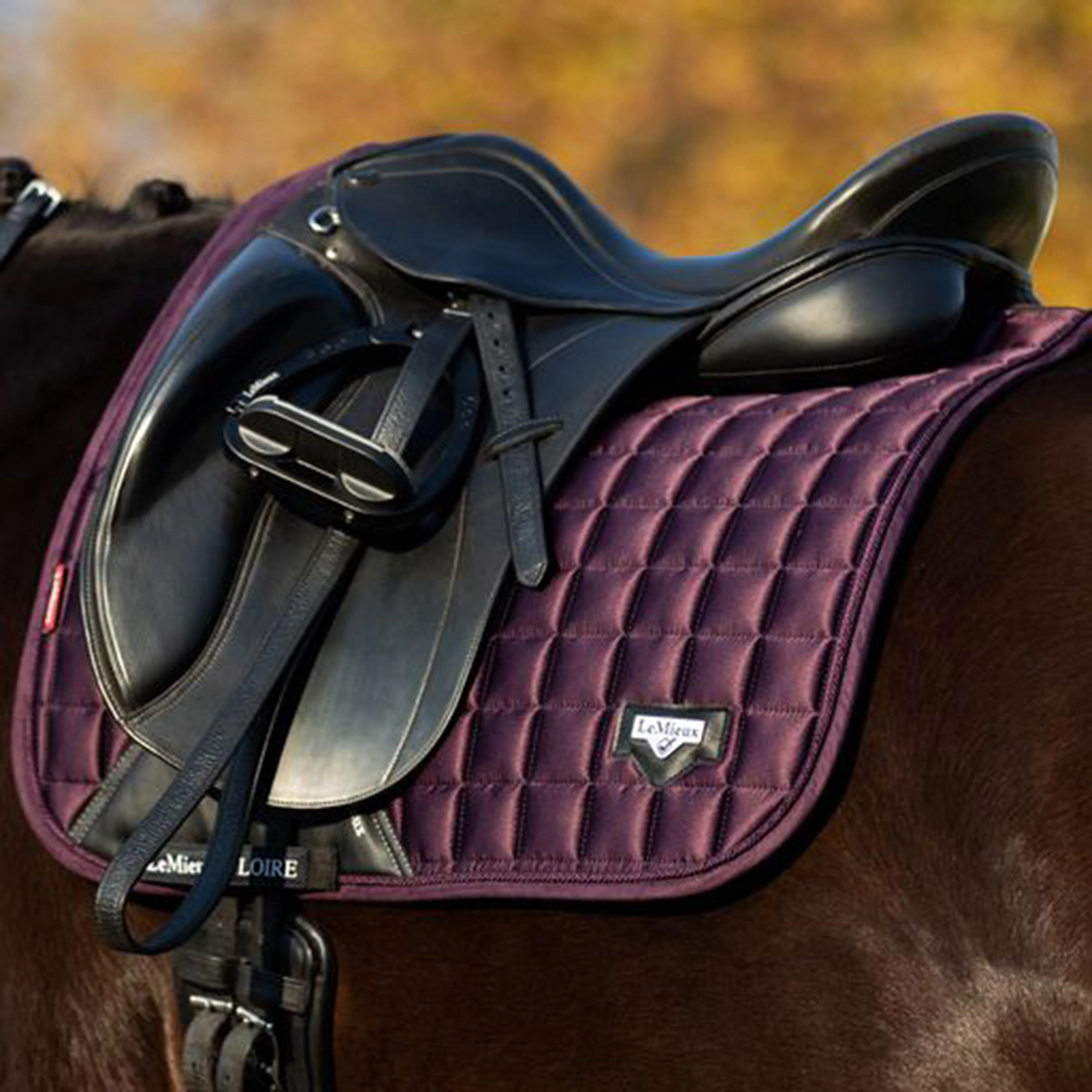 Loire Dressage Saddle Pad Fig - Image 7