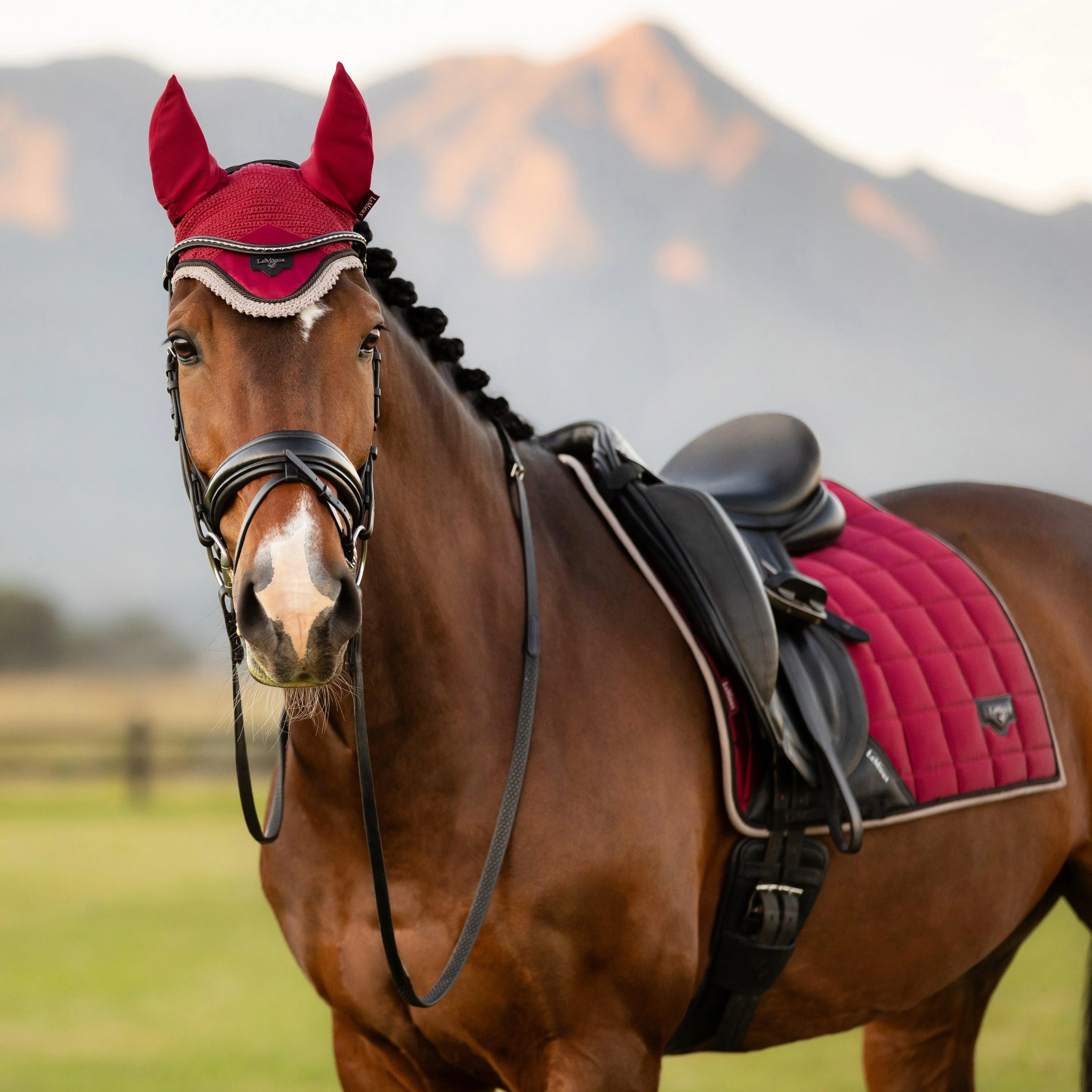 Loire Fly Hood Ember - Image 13