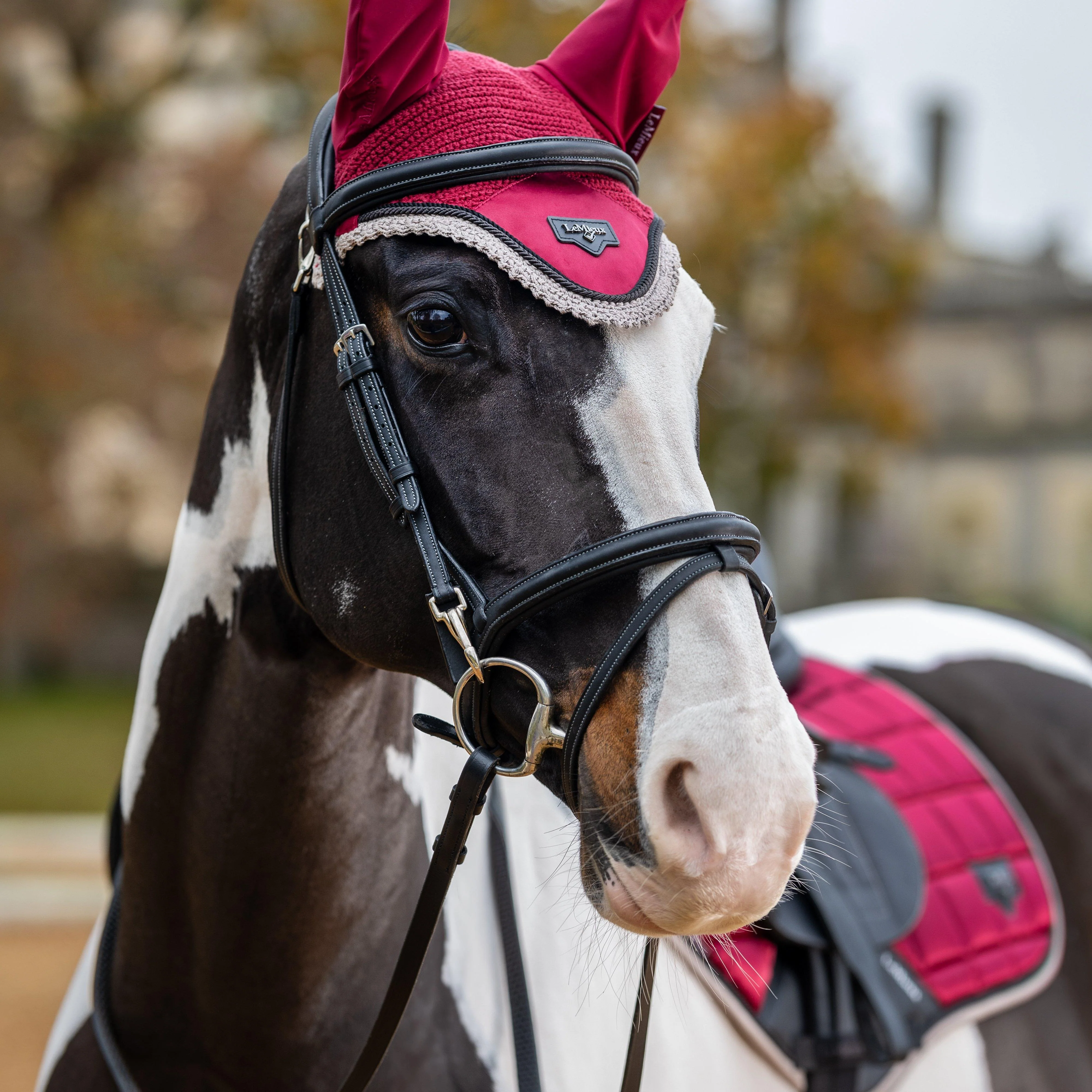 Loire Fly Hood Ember - Image 5