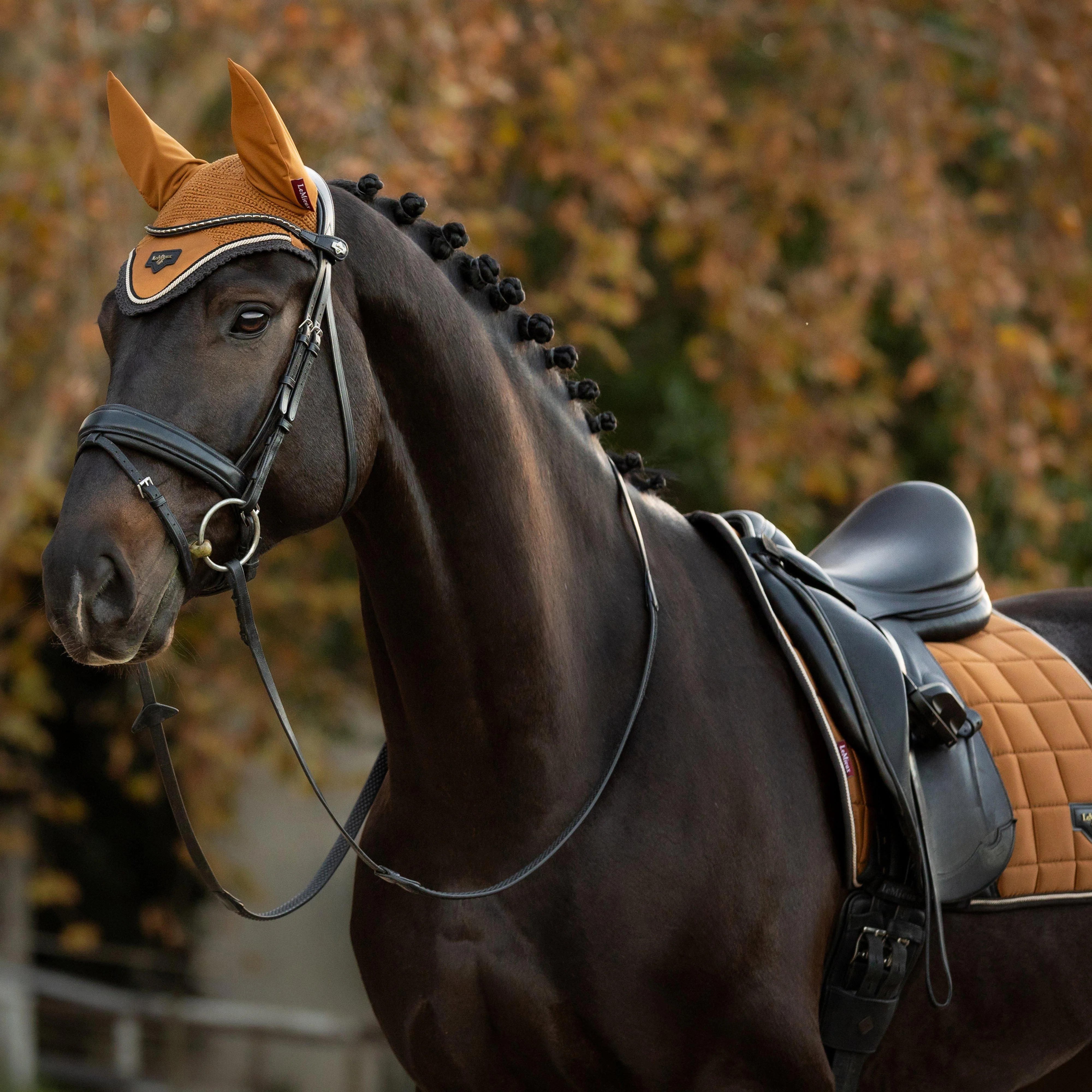 Loire Fly Hood Ginger - Image 3