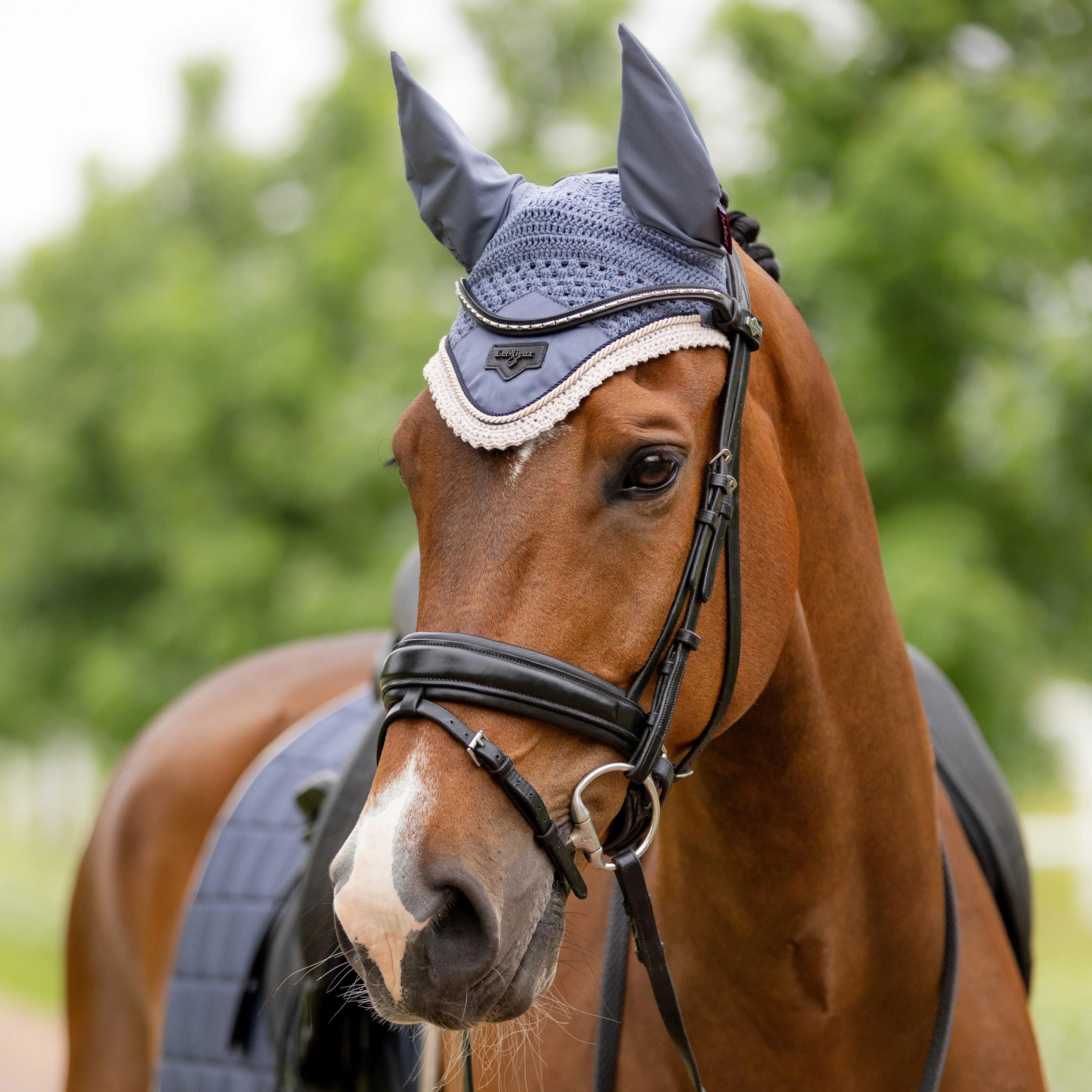 Loire Fly Veil Jay Blue - Image 2