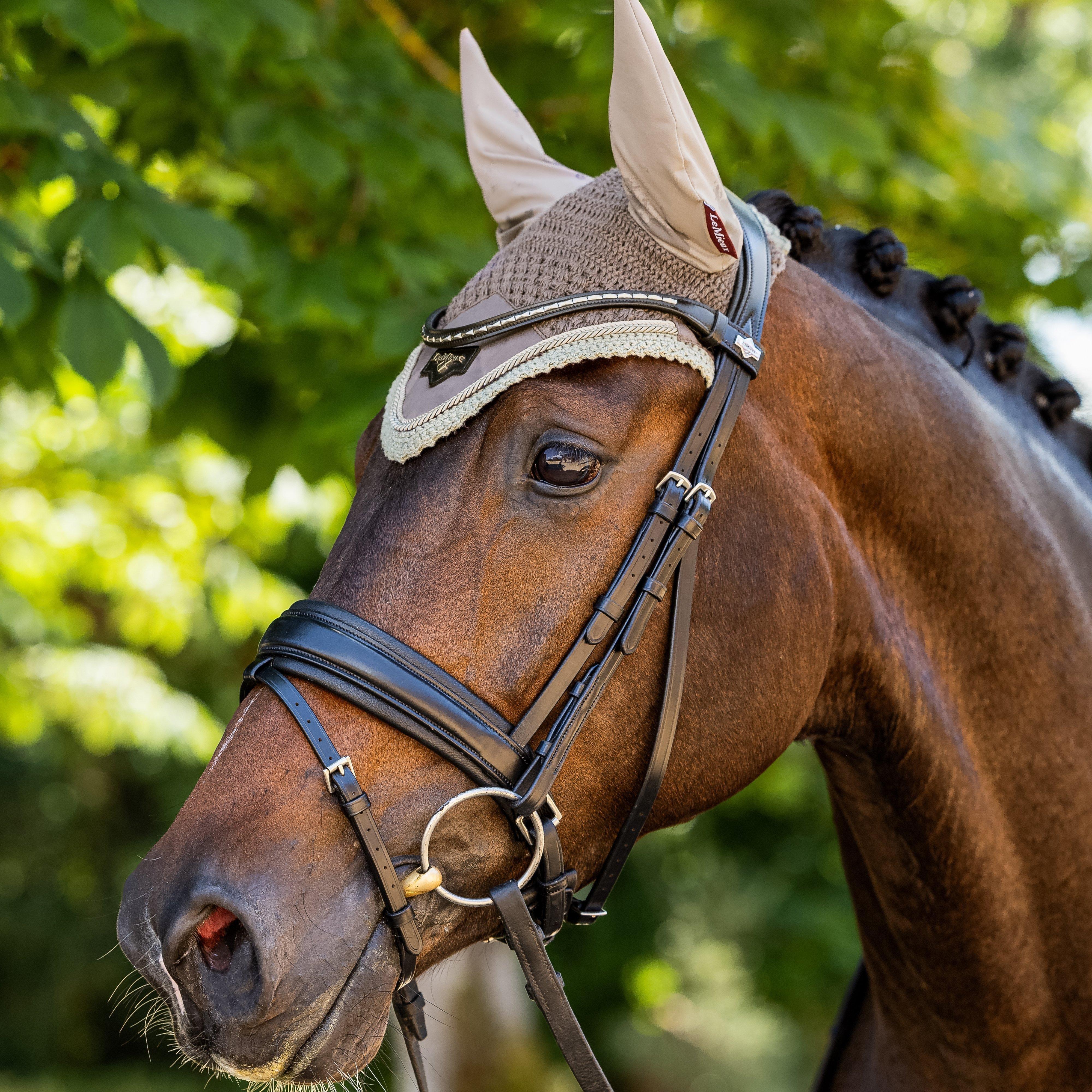 Loire Fly Veil Walnut - Image 2