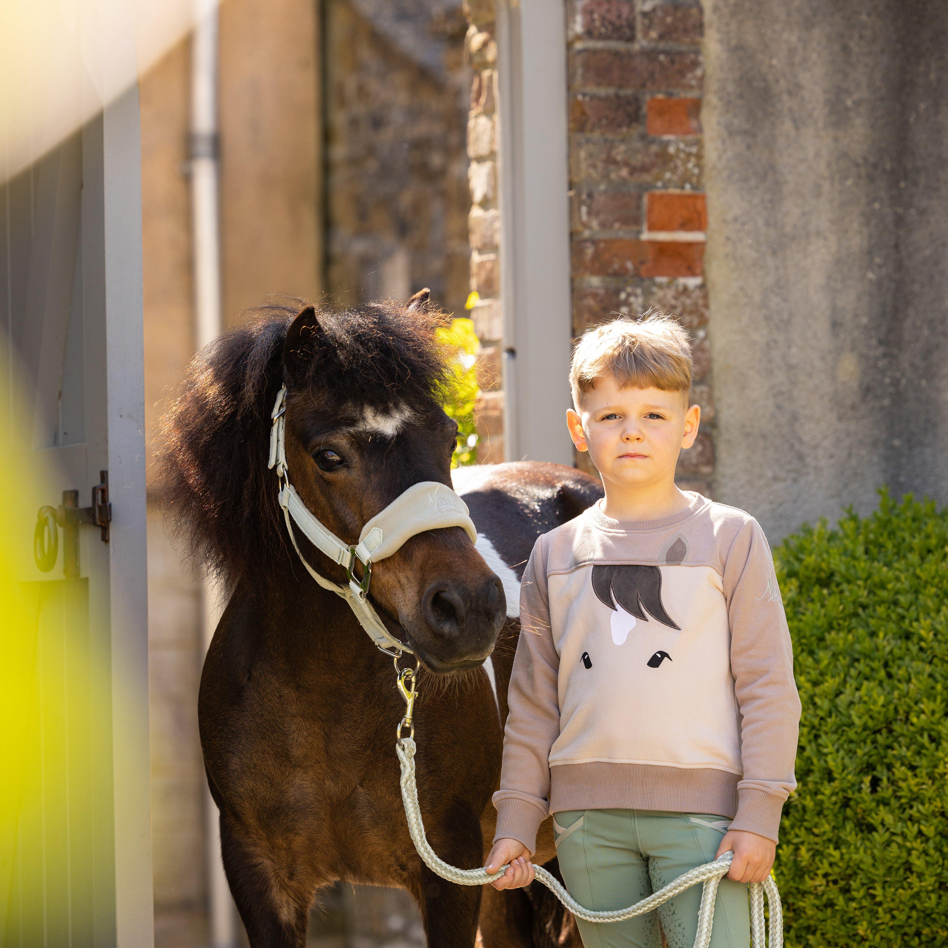 Mini Pony Sweatshirt Stone - Image 4