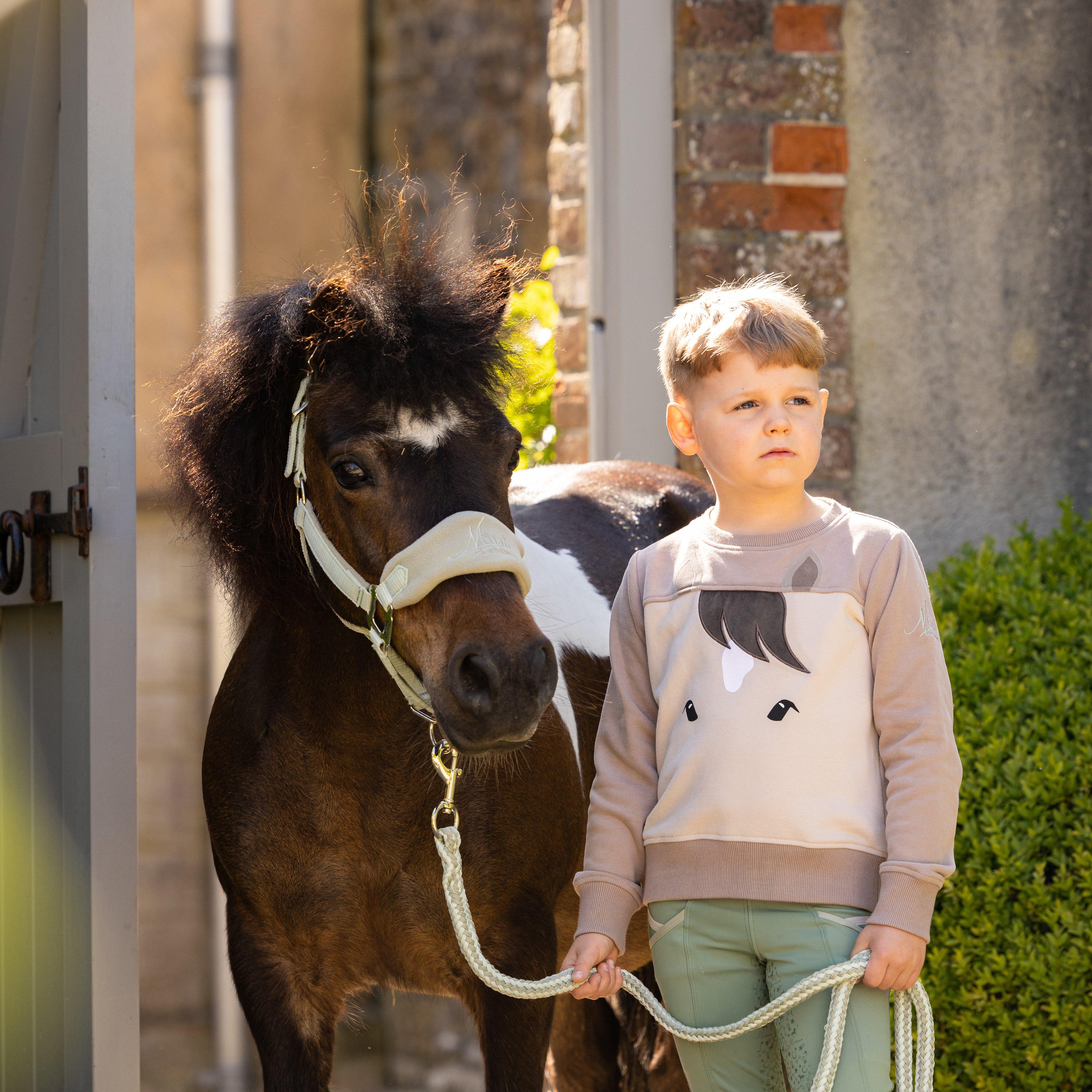 Mini Pony Sweatshirt Stone - Image 5