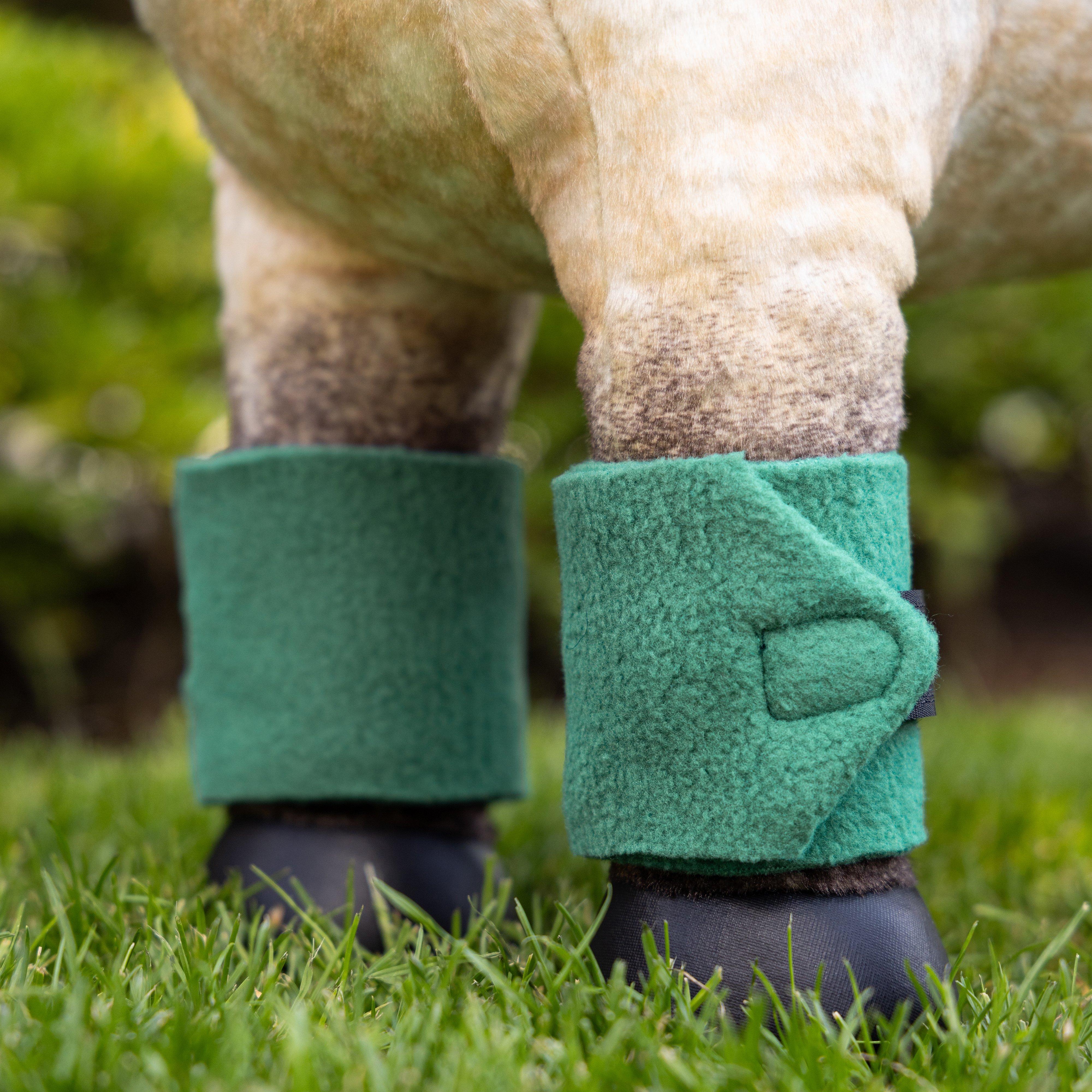 Mini Toy Pony Bandages Evergreen - Image 2