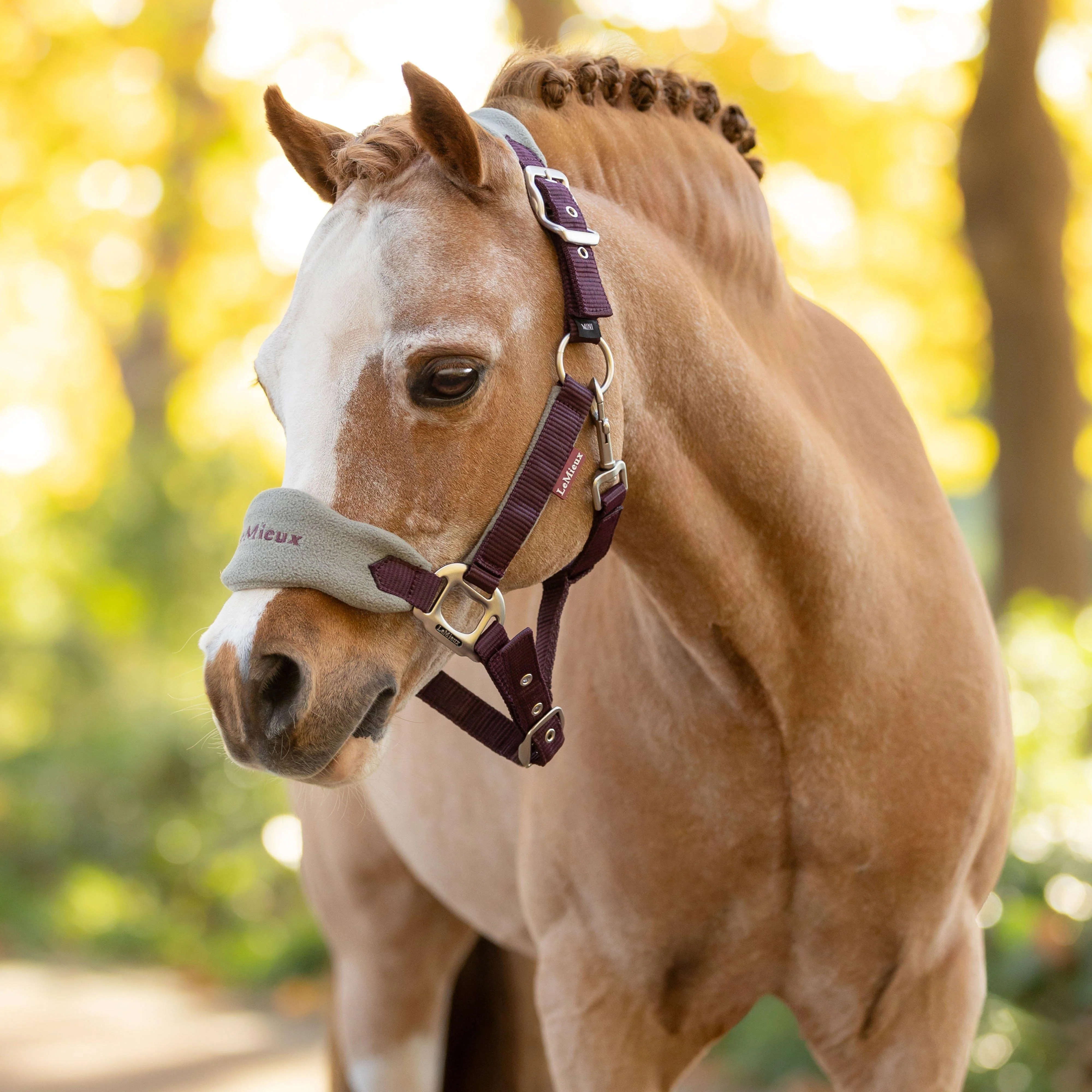 Mini Vogue Headcollar and Leadrope Damson - Image 2
