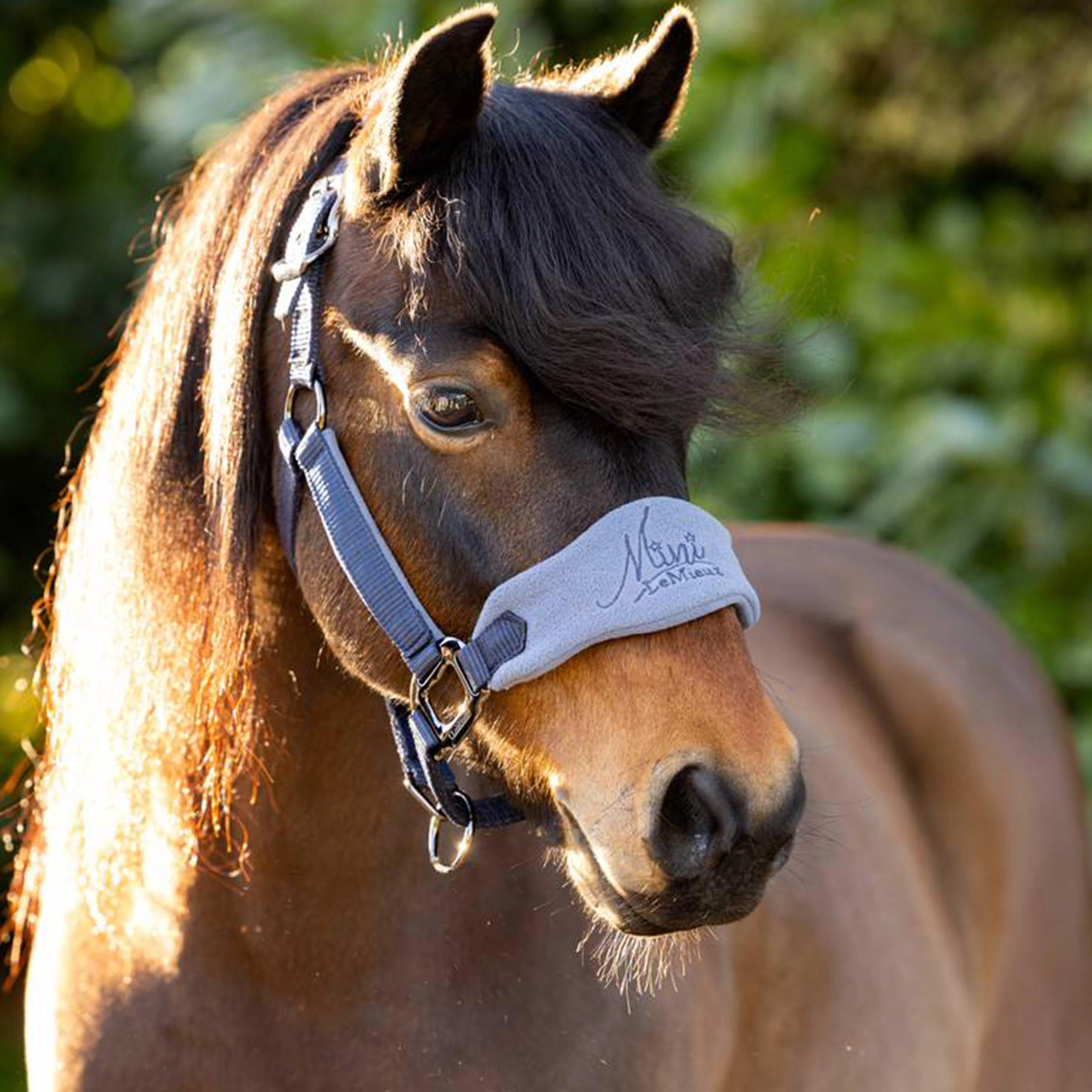 Mini Vogue Headcollar and Leadrope Indigo - Image 2