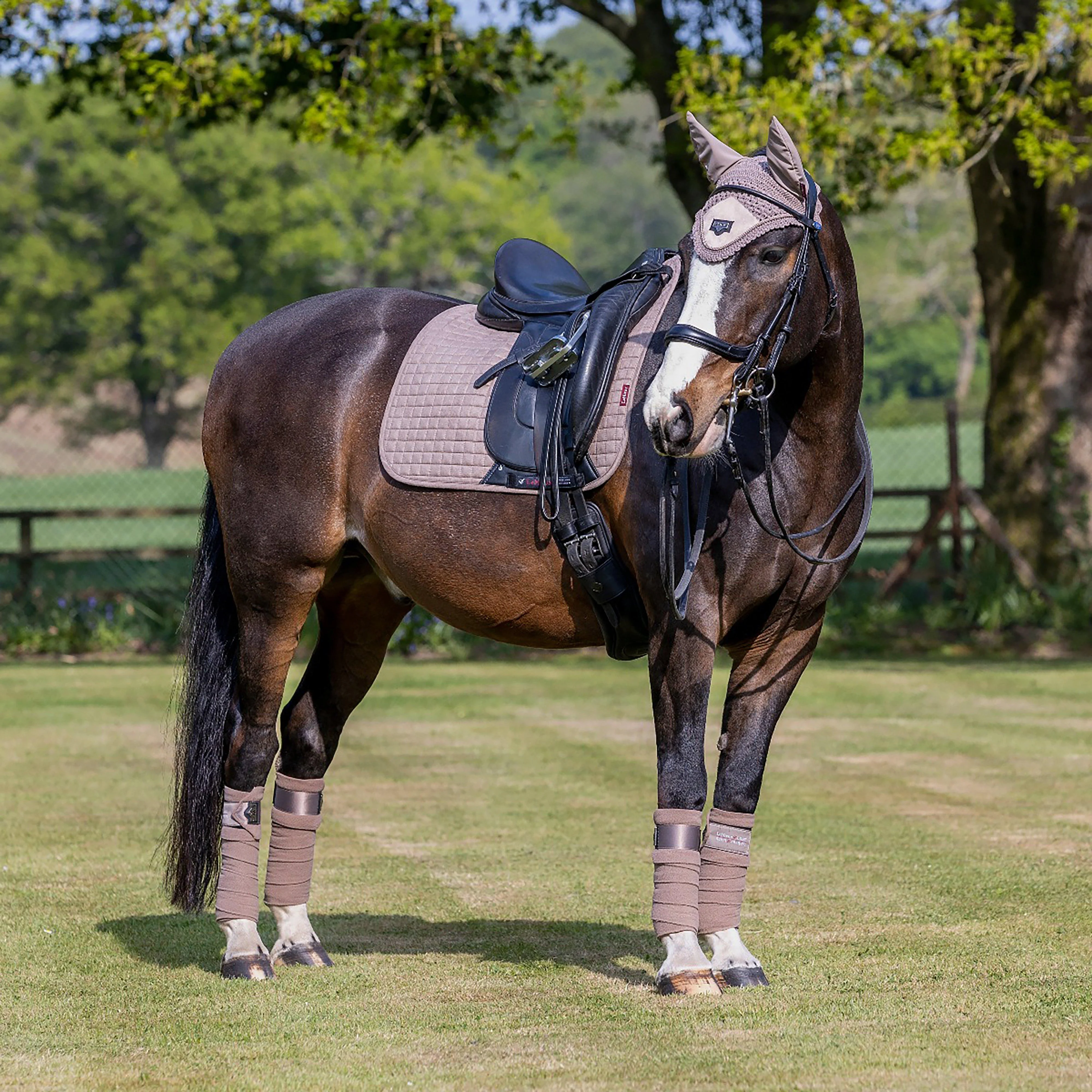 ProSport Suede Dressage Square Saddle Pad Mink - Image 2