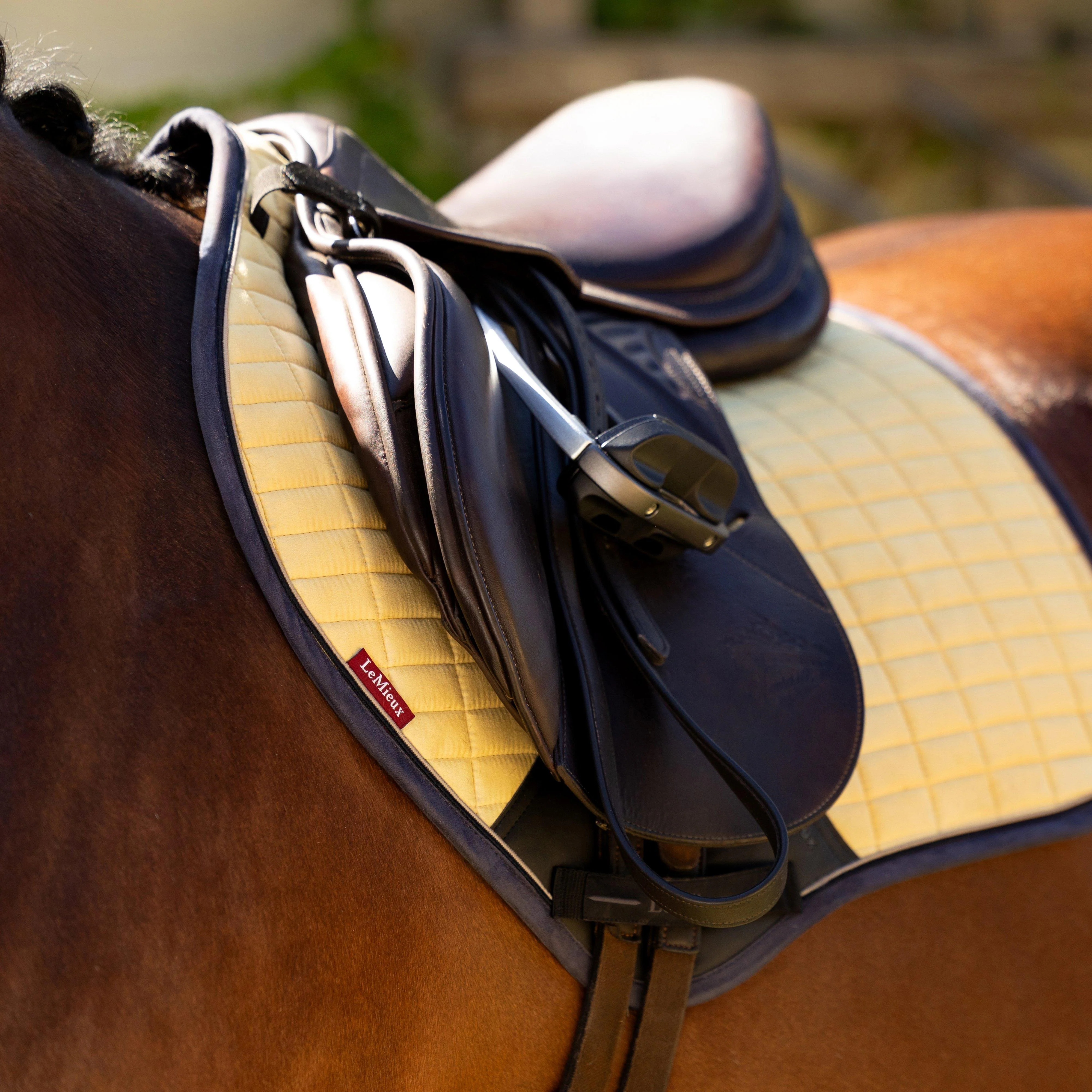Suede Close Contact Saddle Pad Mimosa - Image 3
