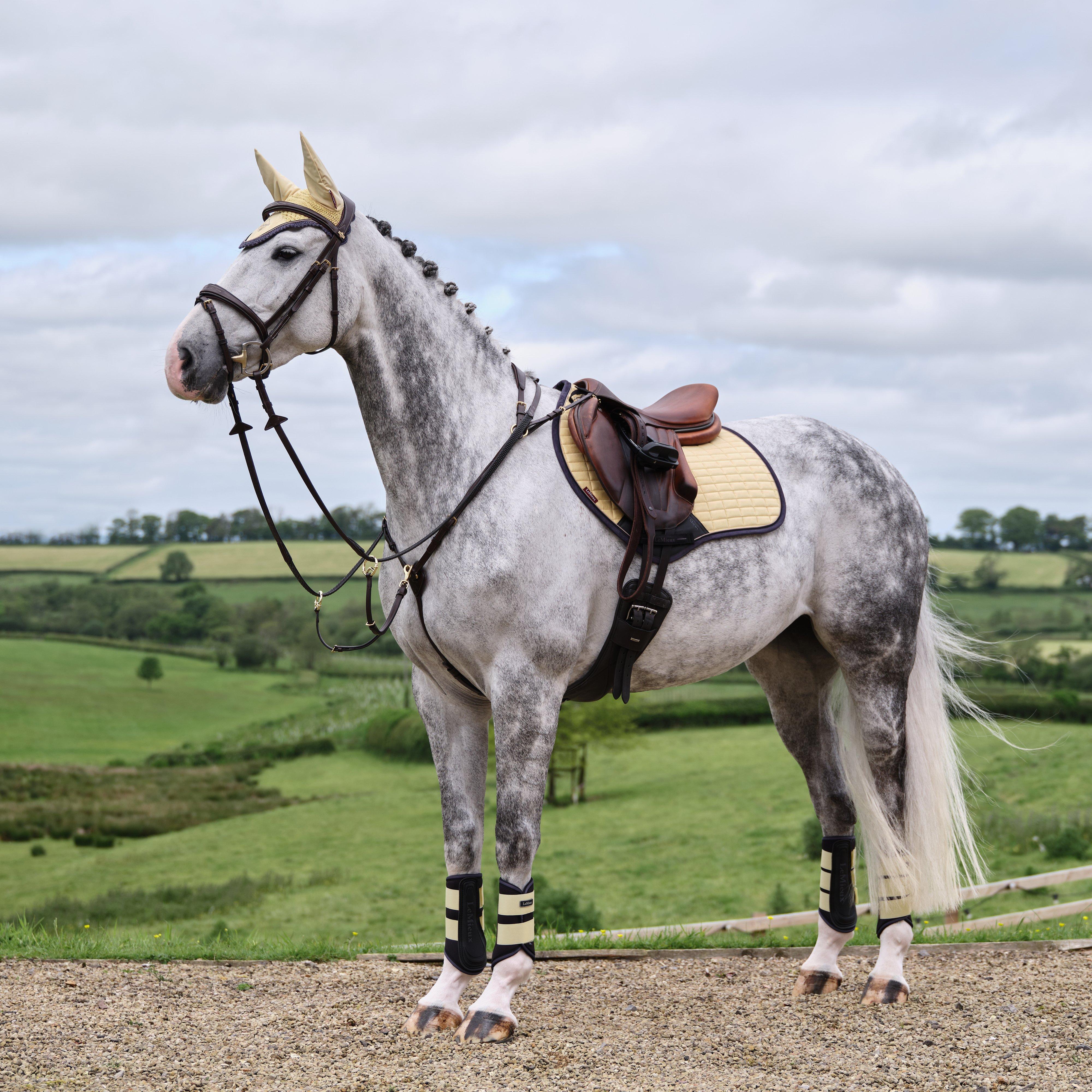 Suede Close Contact Saddle Pad Mimosa - Image 4