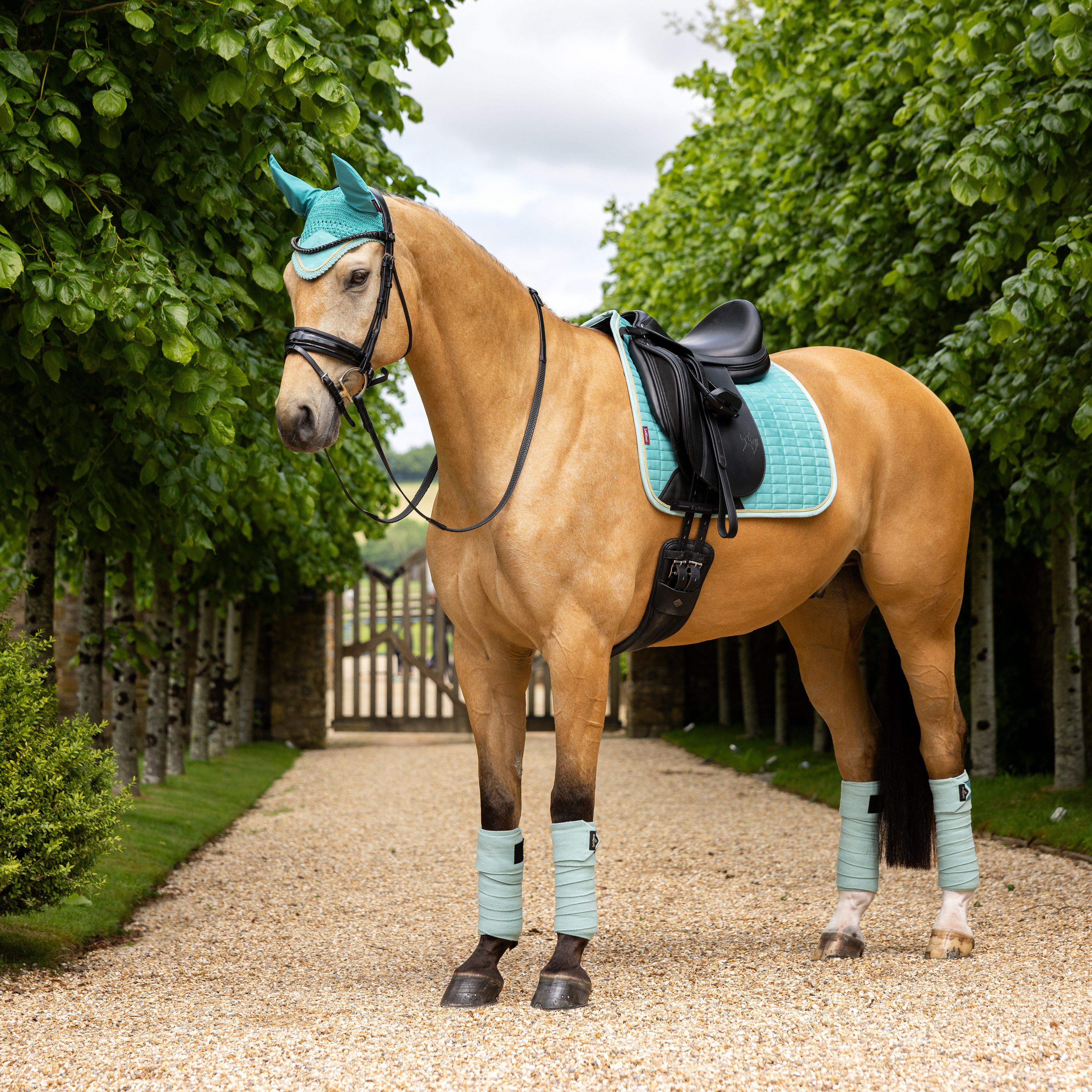 Suede Dressage Saddle Pad Lagoon - Image 3