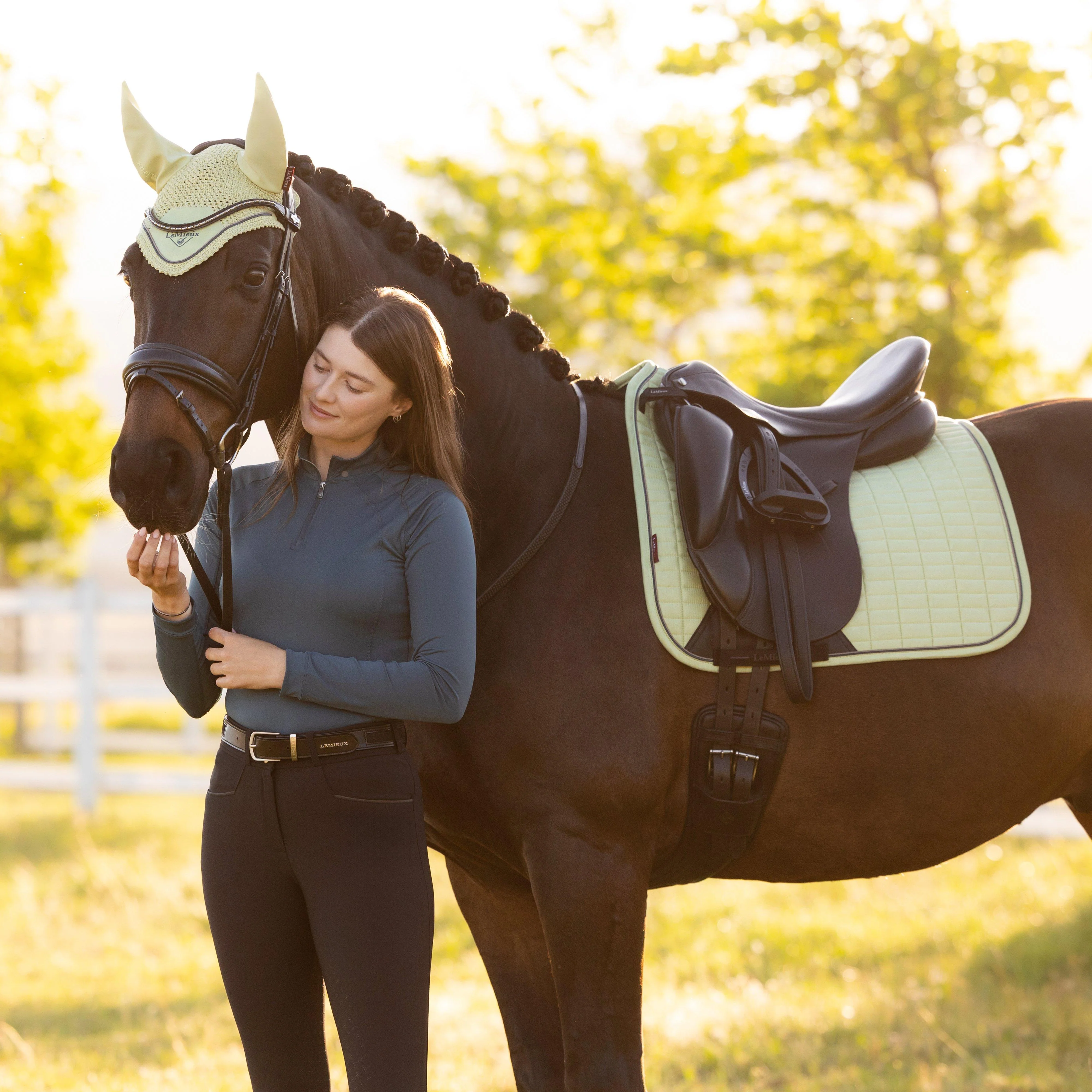 Suede Dressage Saddle Pad Macaron - Image 5